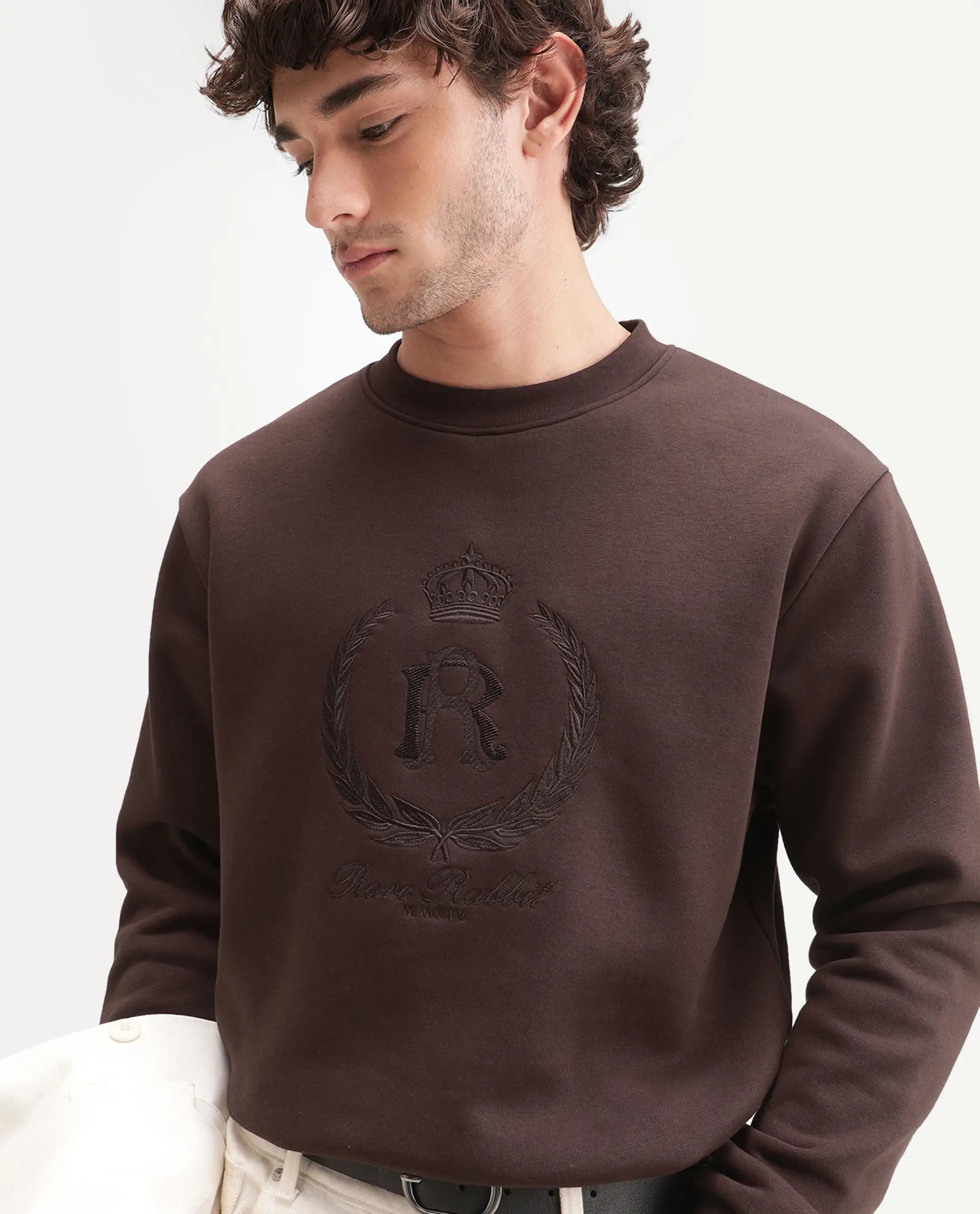 Rare Rabbit Men's Break Primary Brown Cotton Blend Crew Neck Regular Embroidered Sweatshirt