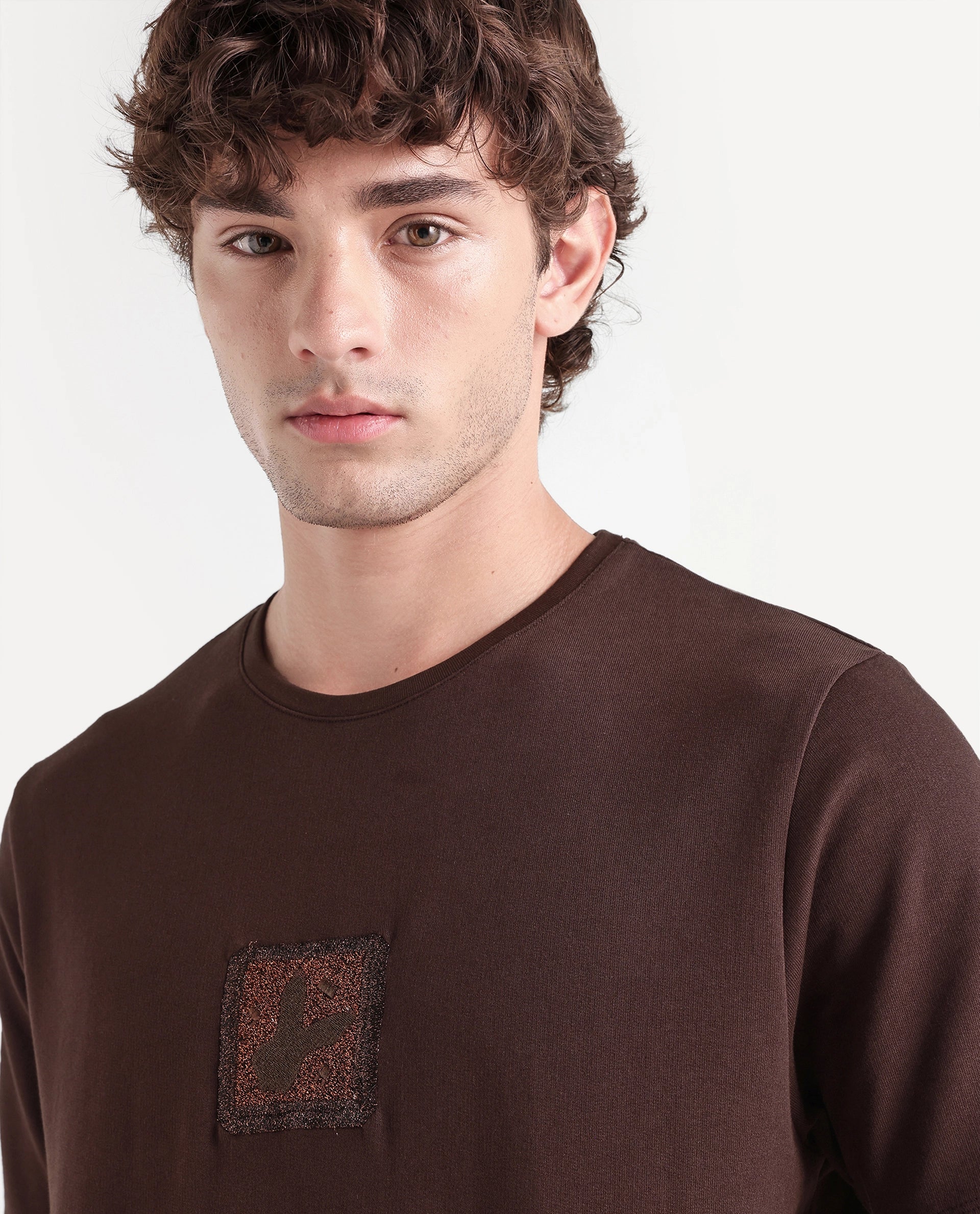 Rare Rabbit Men's Wood Dark Brown Cotton Crew Neck Regular Embroidered T-Shirt
