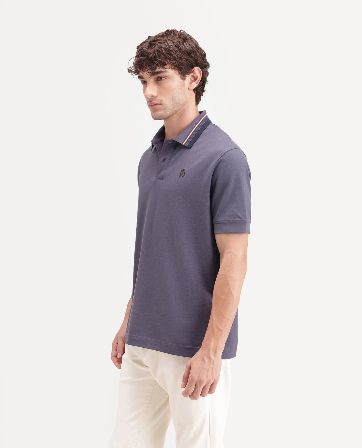 Rare Rabbit Men's Andre Dark Purple Cotton Spread Collar Regular Badge Applique Polo