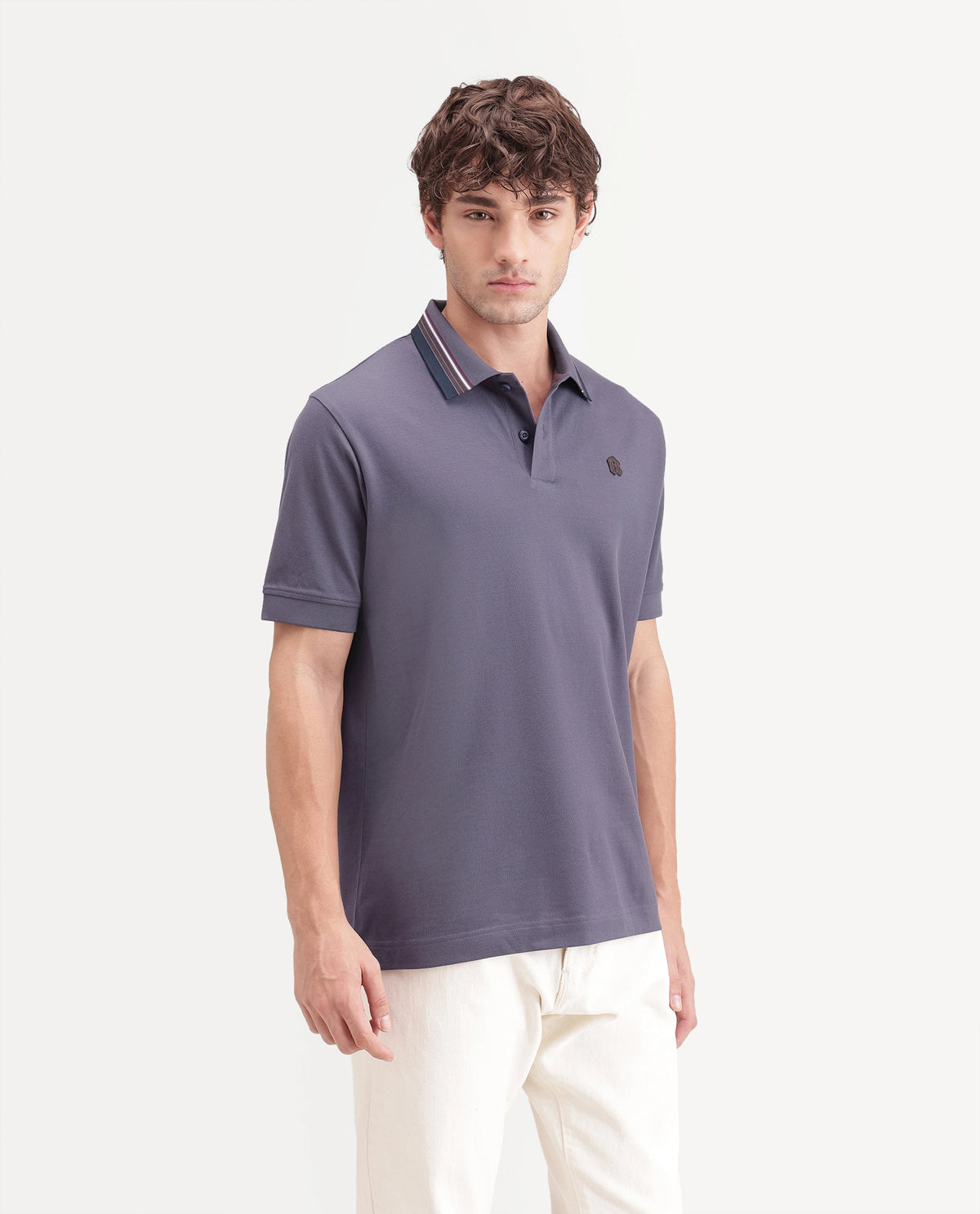 Rare Rabbit Men's Andre Dark Purple Cotton Spread Collar Regular Badge Applique Polo