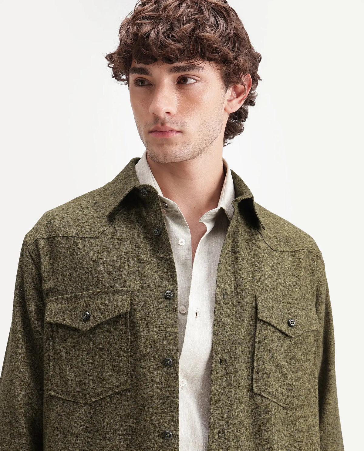 Rare Rabbit Men's Plum Dusky Green Cotton Spread Collar Regular Plain Shirt