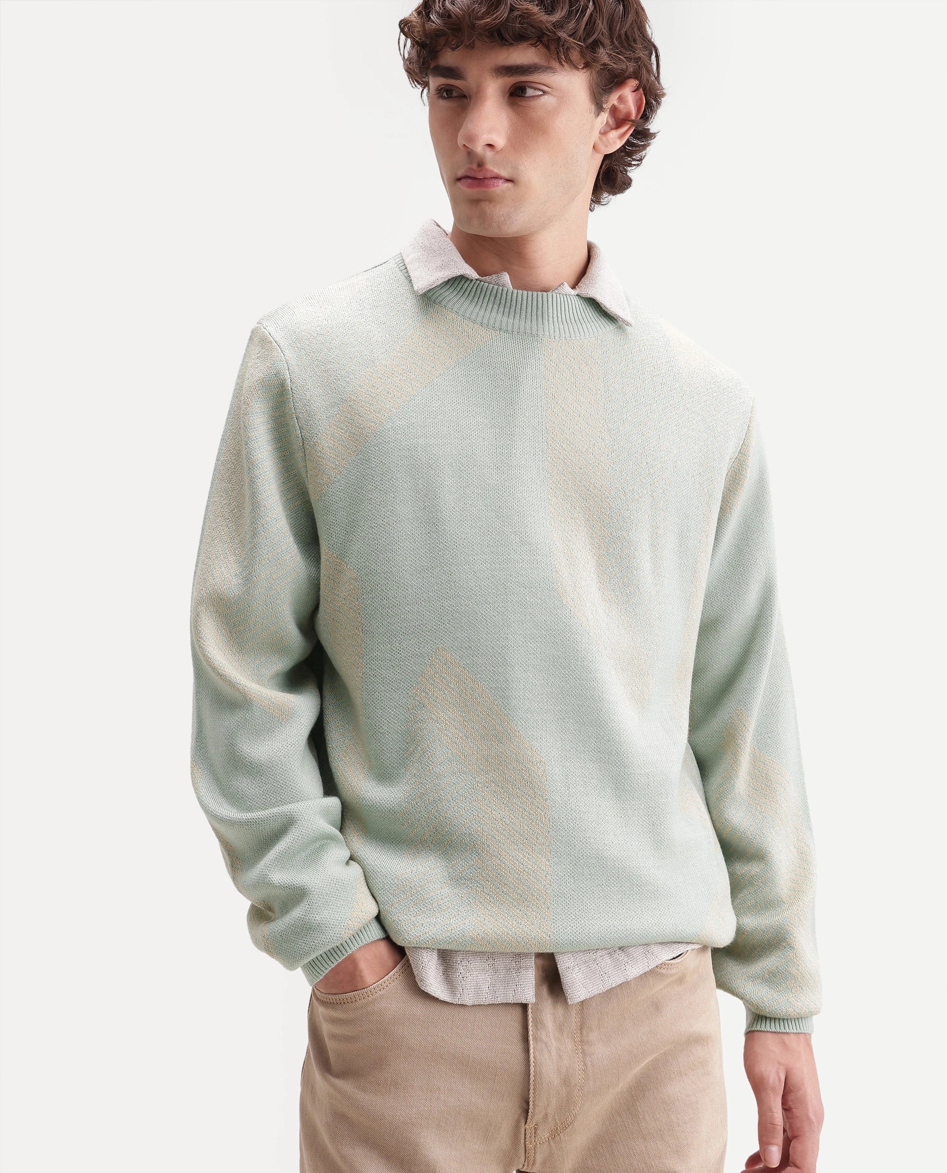 Rare Rabbit Men's Vent Light Green Acrylic Crew Neck Regular Fit Jacquard Sweater