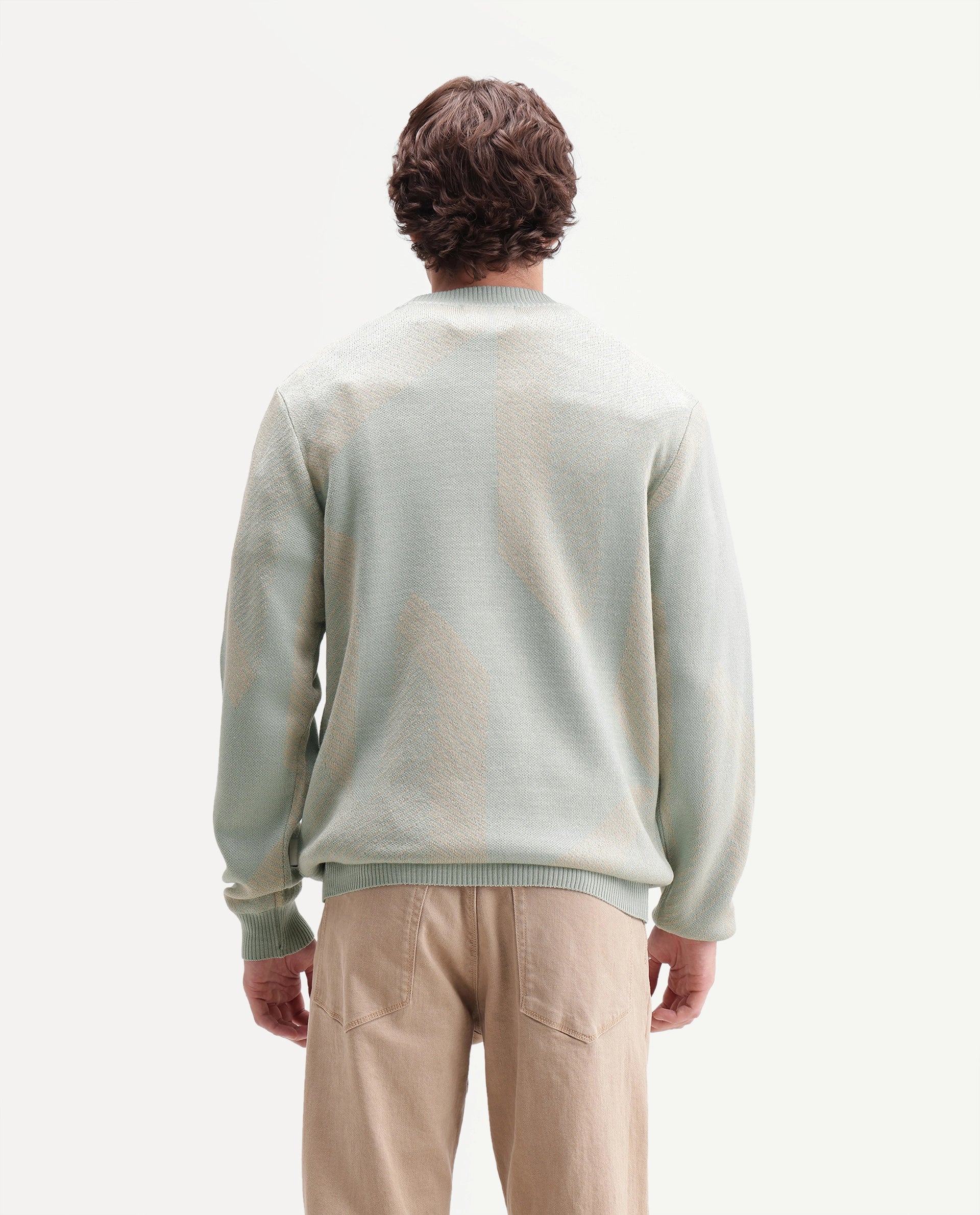 Rare Rabbit Men's Vent Light Green Acrylic Crew Neck Regular Fit Jacquard Sweater