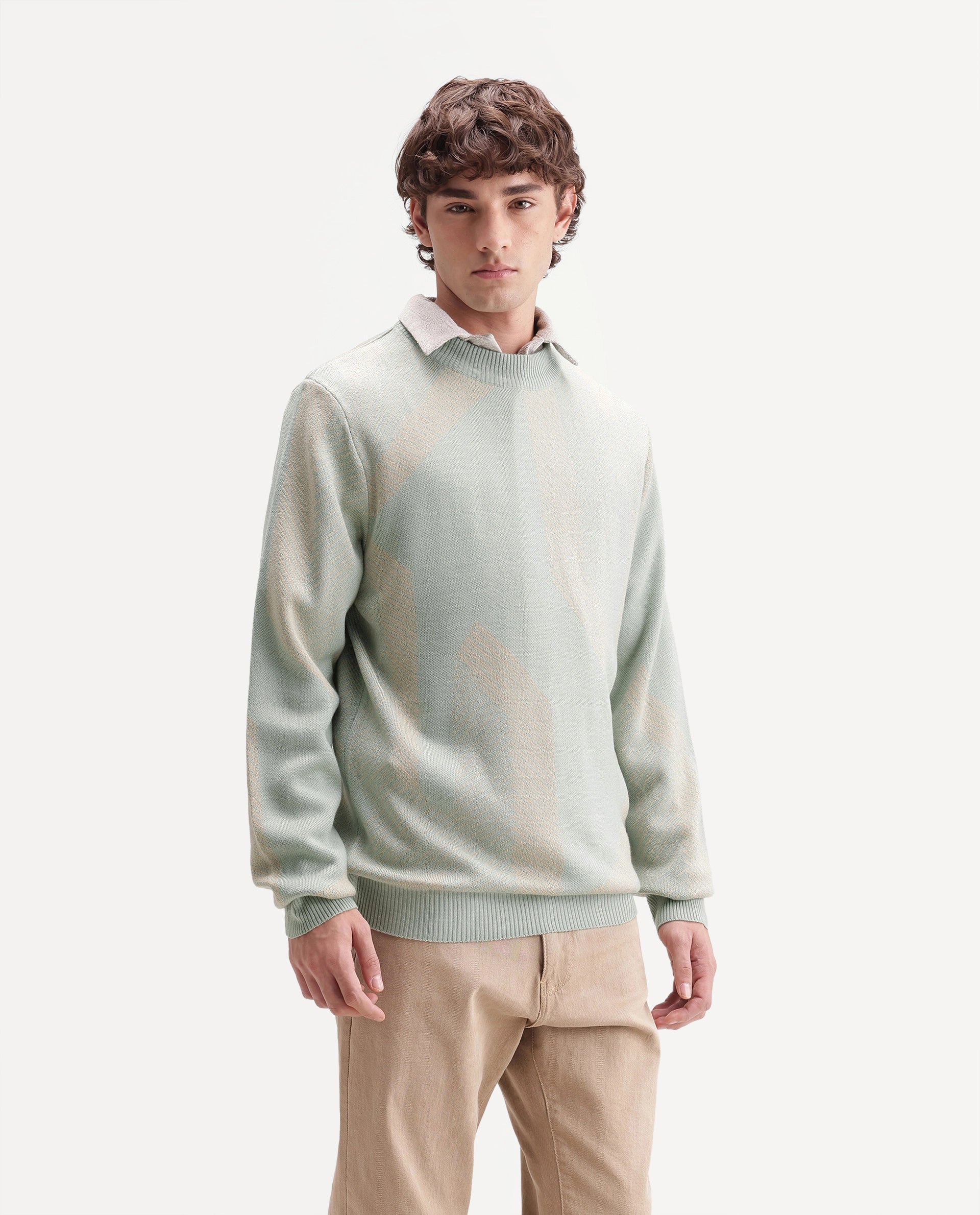 Rare Rabbit Men's Vent Light Green Acrylic Crew Neck Regular Fit Jacquard Sweater