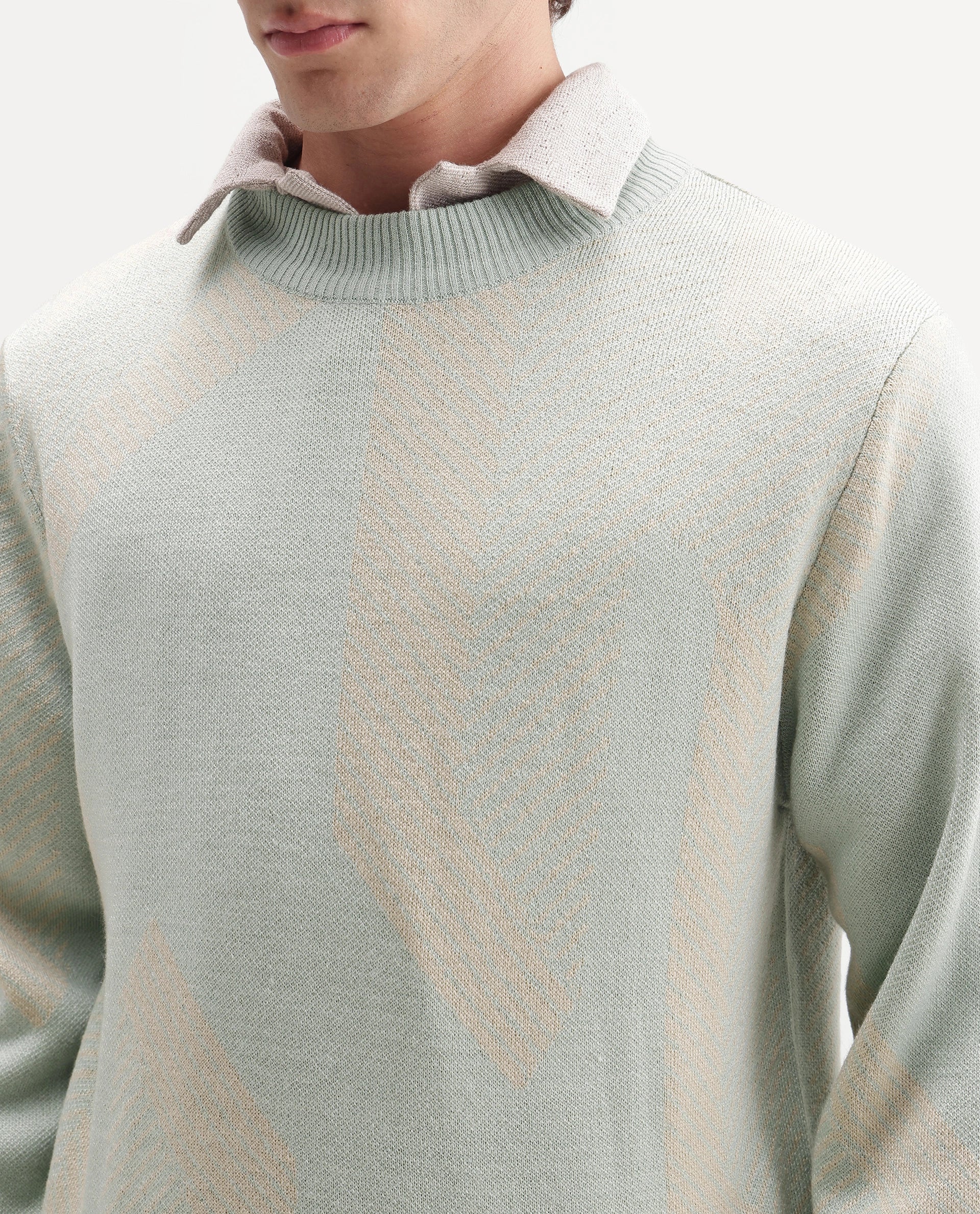Rare Rabbit Men's Vent Light Green Acrylic Crew Neck Regular Fit Jacquard Sweater