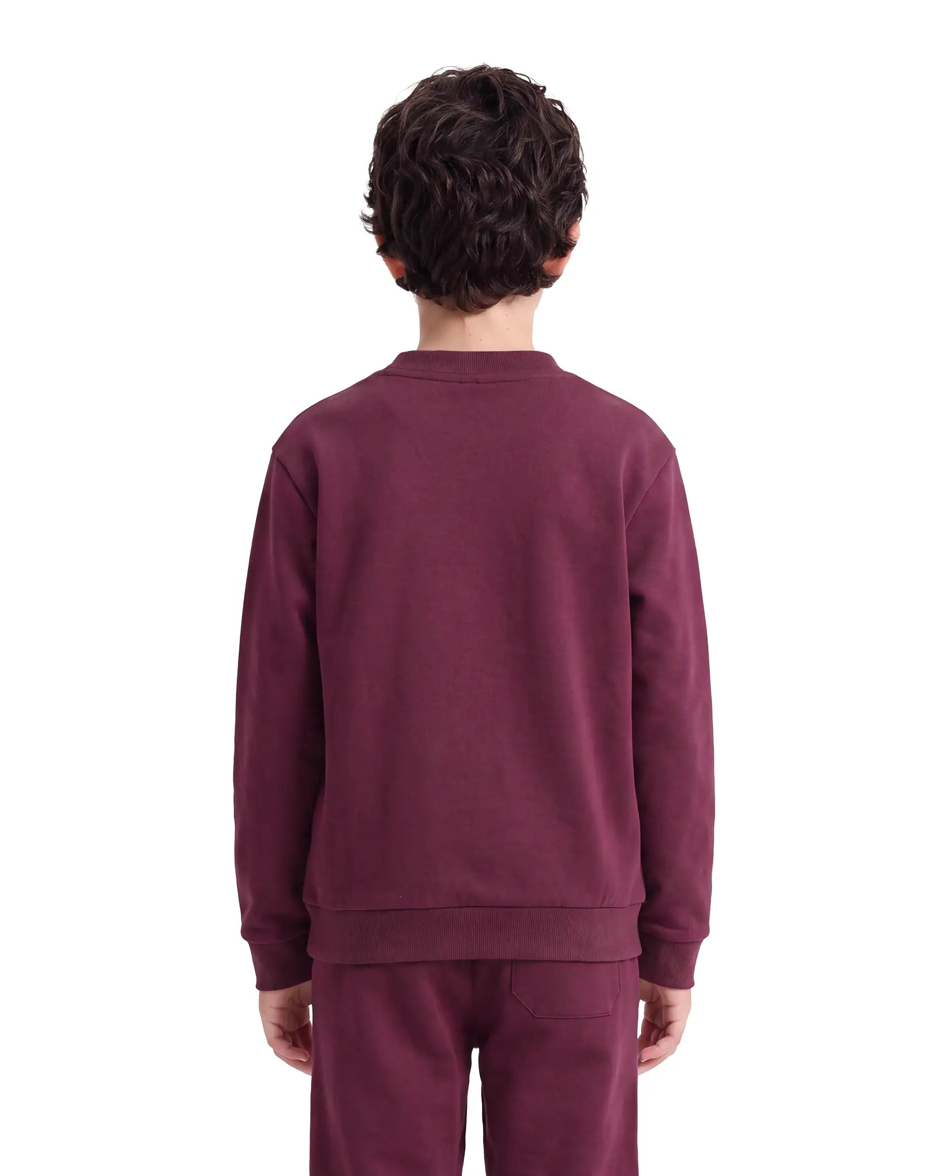 Rare Ones Kids Sohi Maroon Cotton Blend Fabric Crew Neck Pull-On Closure Regular Fit Flock Print Sweatshirt