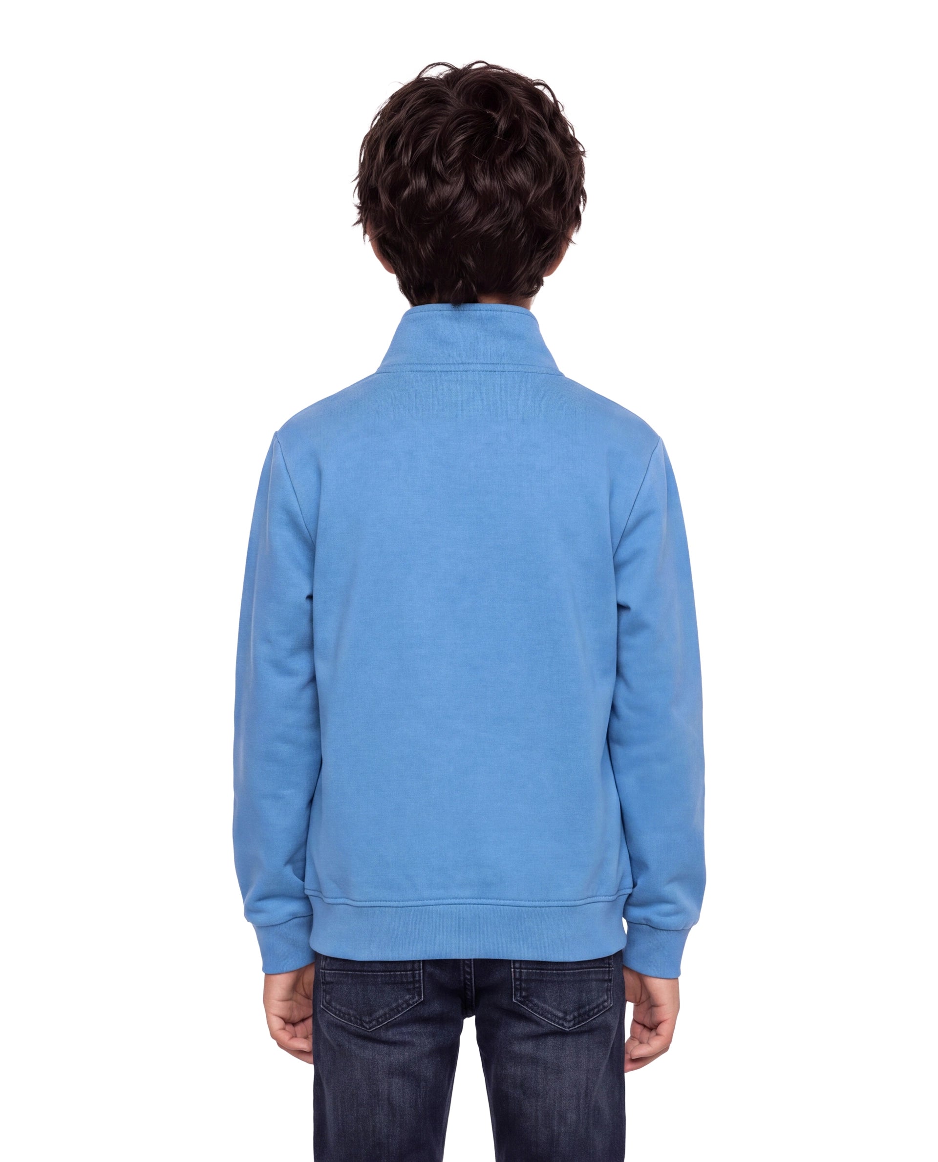 Rare Ones Kids Grid Blue Cotton Blend Fabric High Neck Zipper Closure Regular Graphic Print Sweatshirt