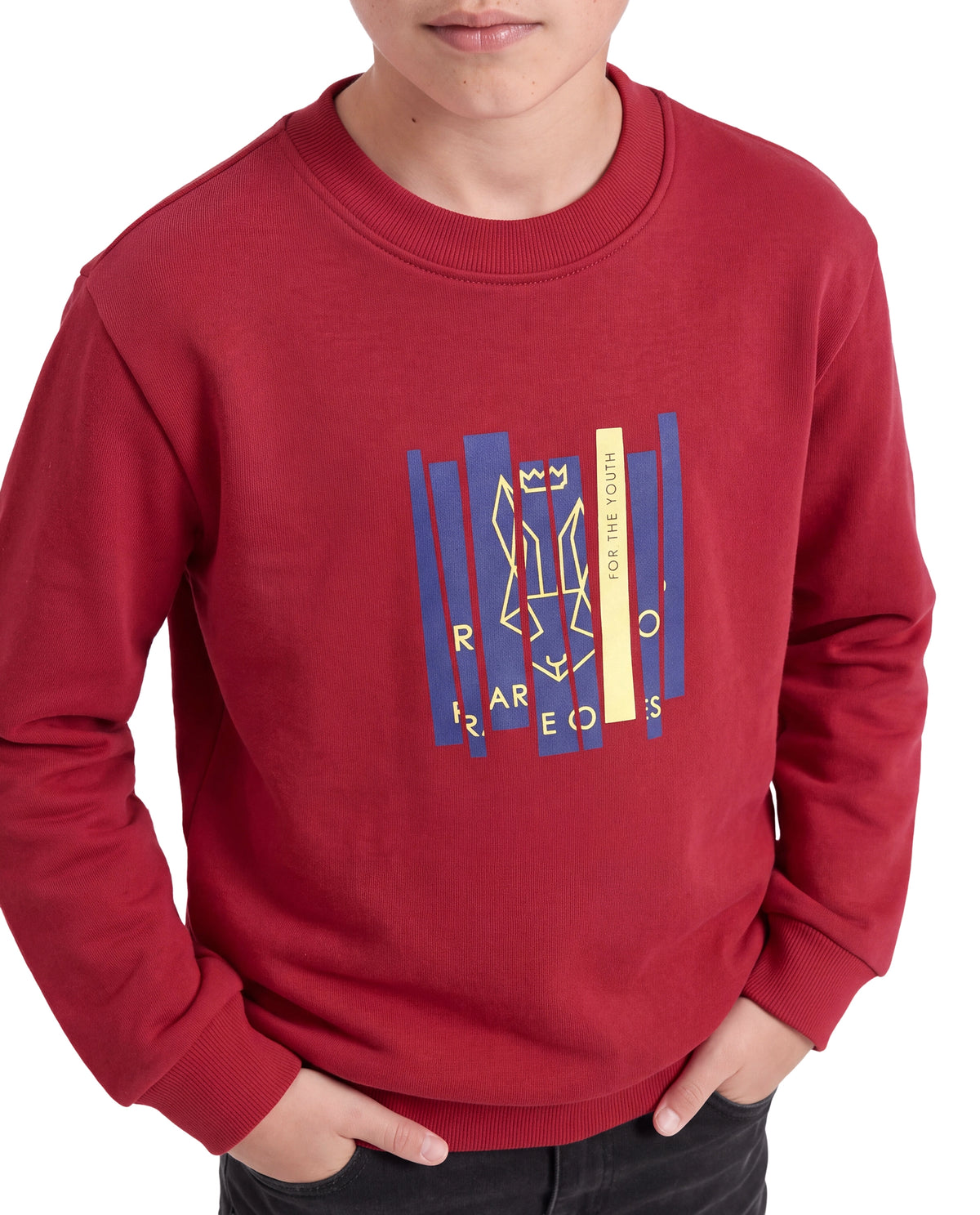 Rare Ones Kids Krio Red Cotton Blend Fabric Crew Neck Pull-On Closure Regular Graphic Print Sweatshirt