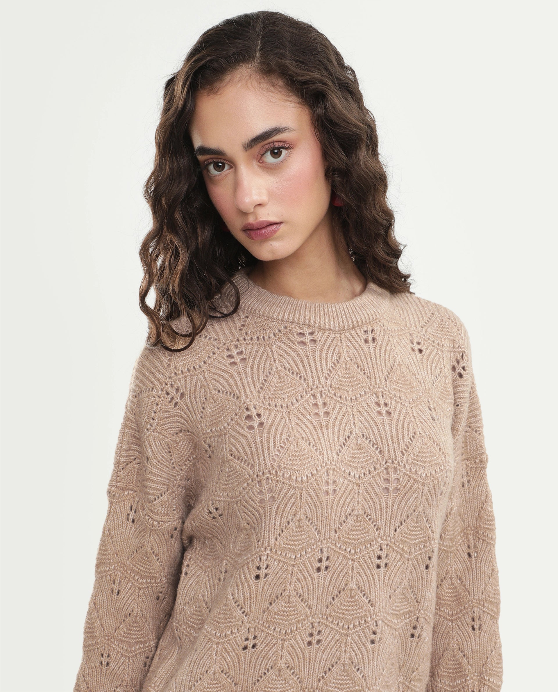 Rareism Women's Lan-Rsm Dark Beige Acrylic Blend Pull-On Relaxed Fit Sweater