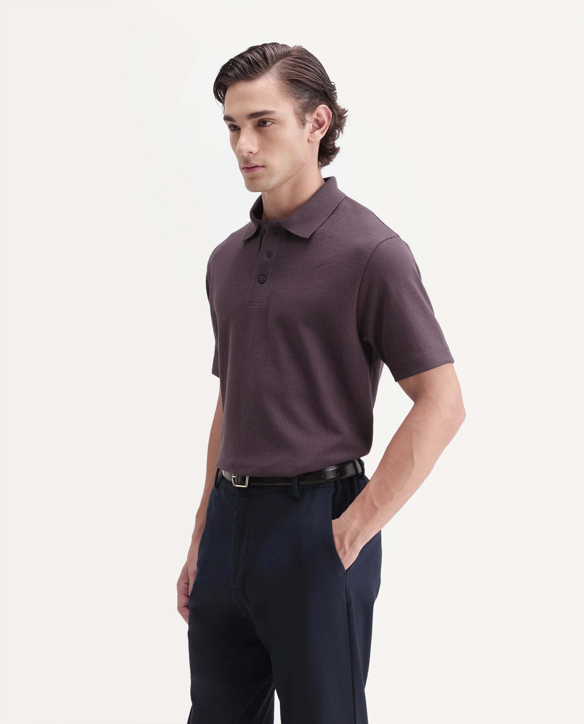 Rare Rabbit Men's Crast Purple Polyester Blend Spread Collar Regular Jacquard Polo