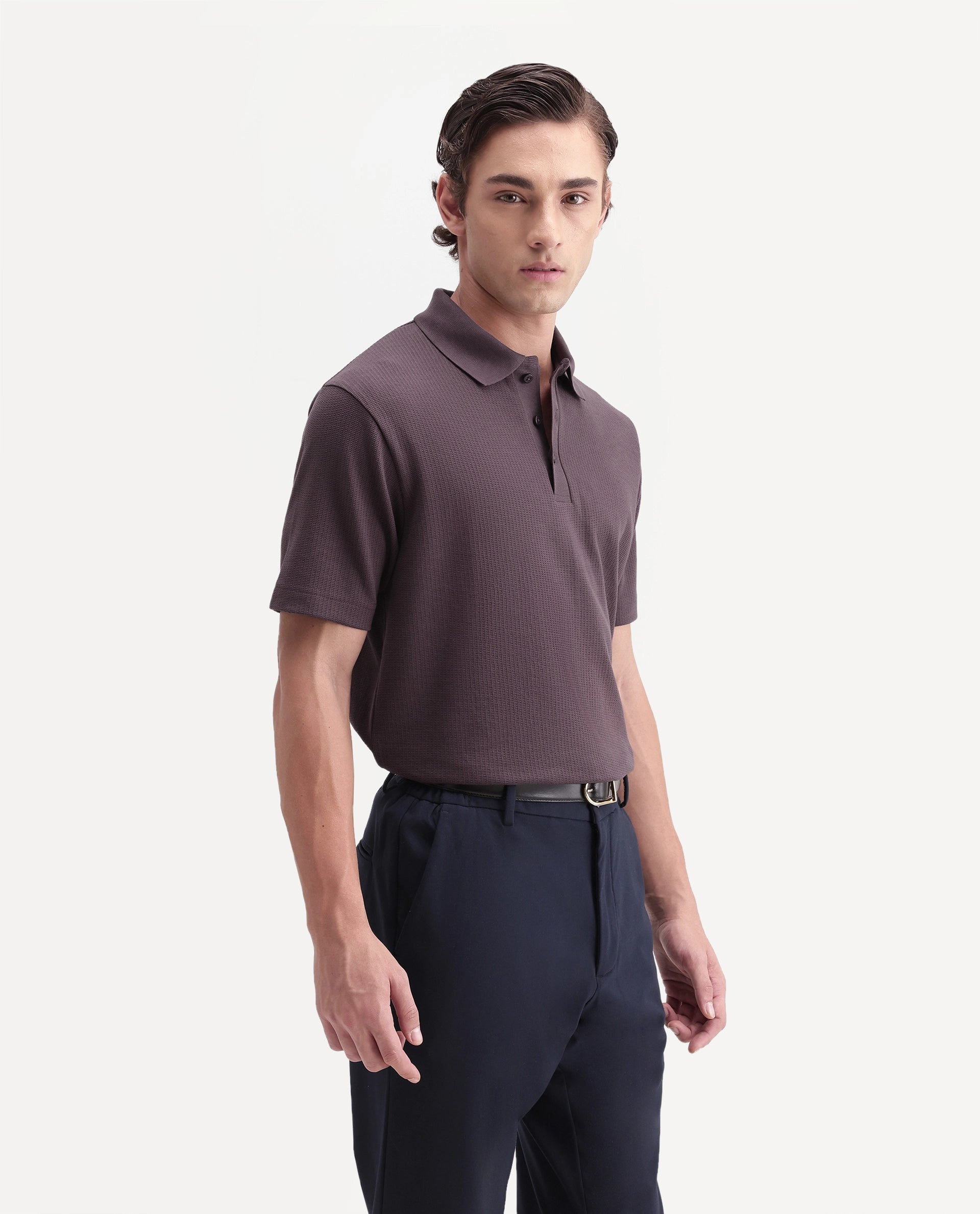 Rare Rabbit Men's Crast Purple Polyester Blend Spread Collar Regular Jacquard Polo