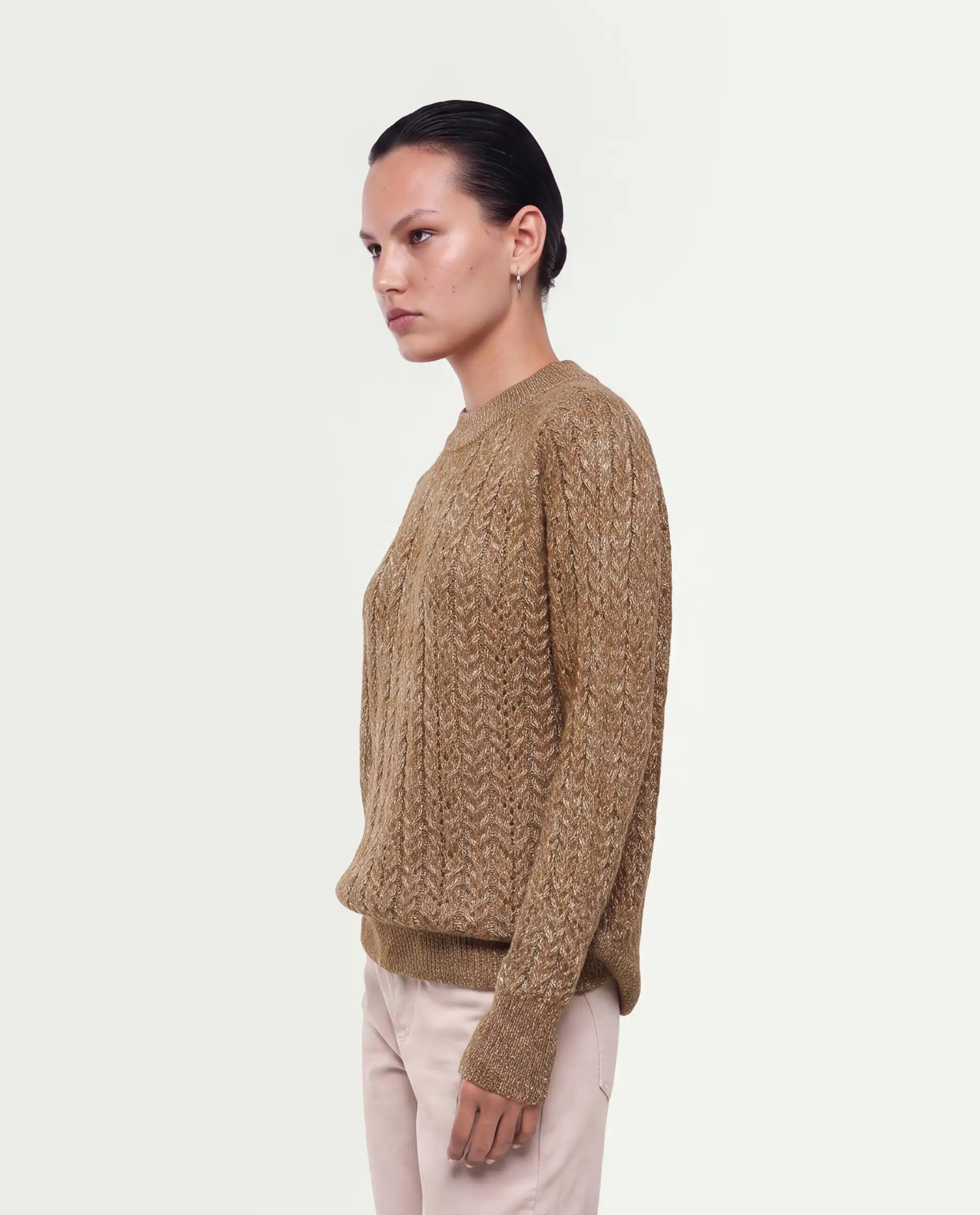 Rareism Women's Leseq Dark Beige Polyester Blend Pull-On Relaxed Fit Plain Sweater