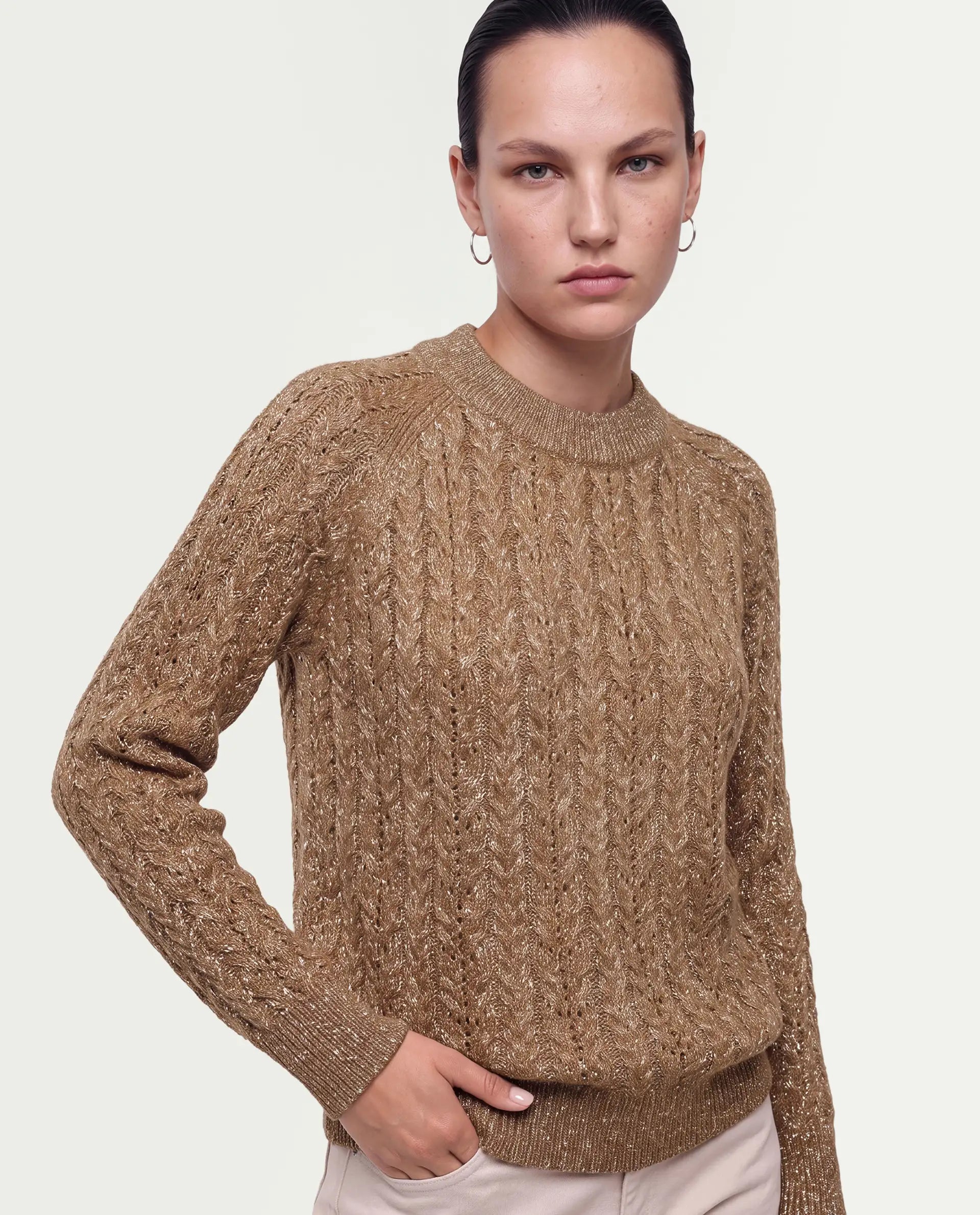 Rareism Women's Leseq Dark Beige Polyester Blend Pull-On Relaxed Fit Plain Sweater