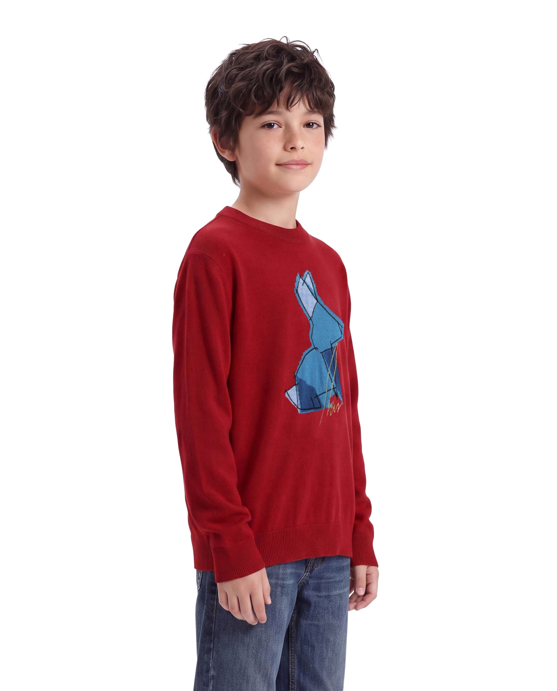 Rare Ones Kids Mipo-26 Red Acrylic Fabric Pull-On Closure Regular Fit Graphic Print Sweater