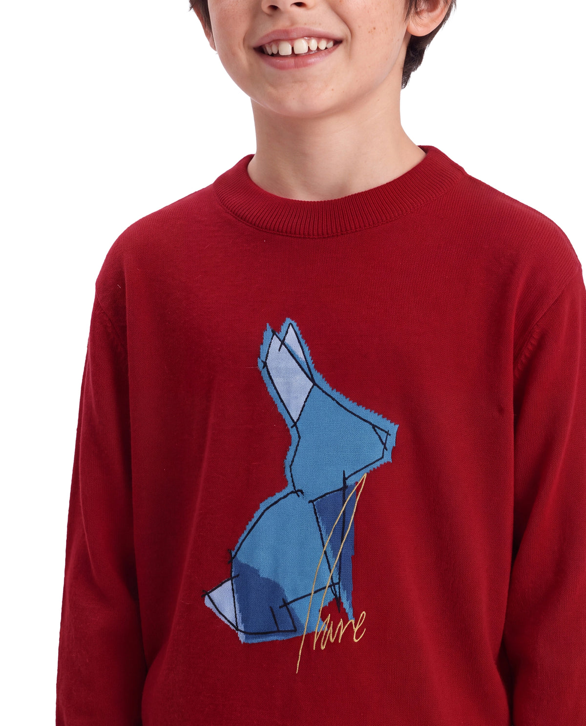 Rare Ones Kids Mipo-26 Red Acrylic Fabric Pull-On Closure Regular Fit Graphic Print Sweater