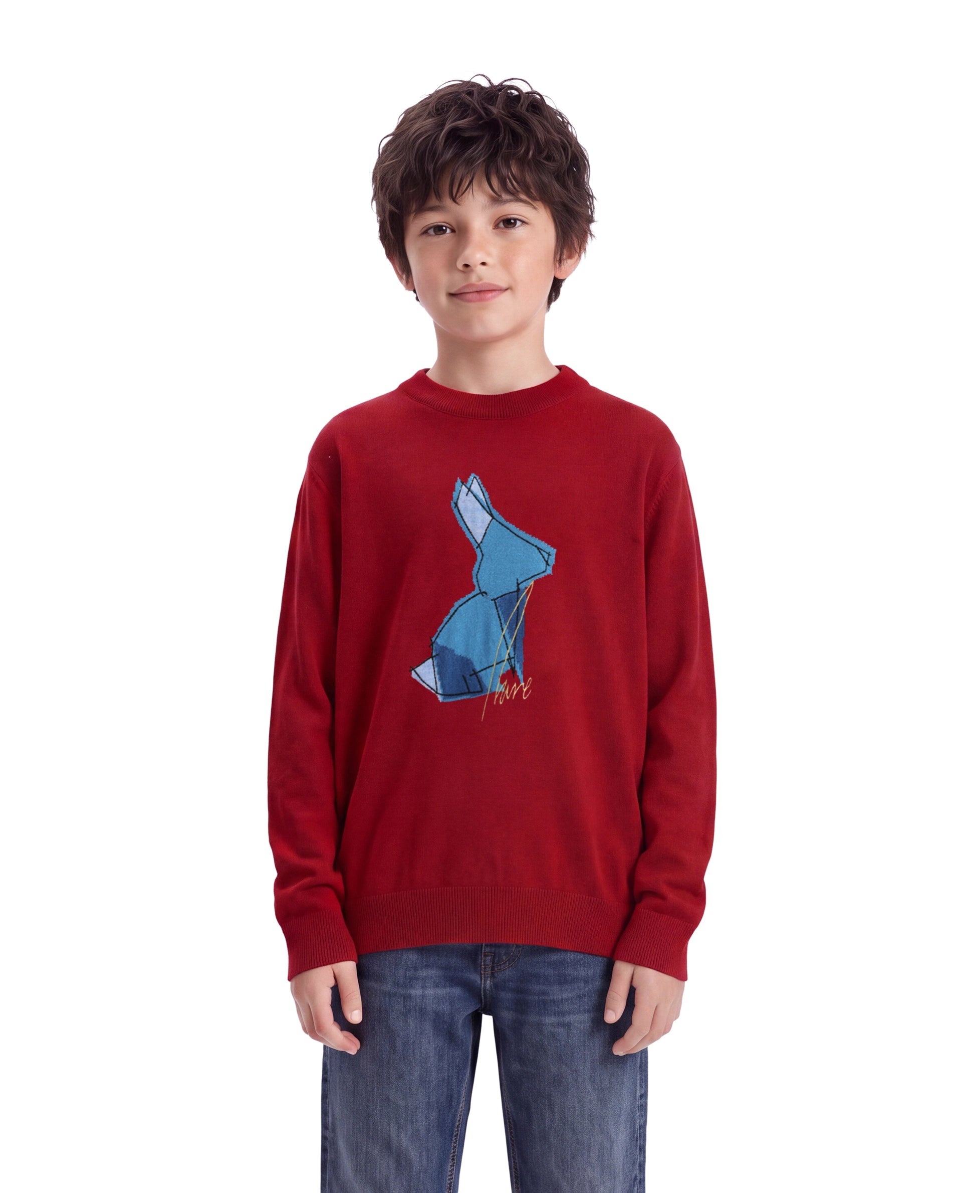 Rare Ones Kids Mipo-26 Red Acrylic Fabric Pull-On Closure Regular Fit Graphic Print Sweater