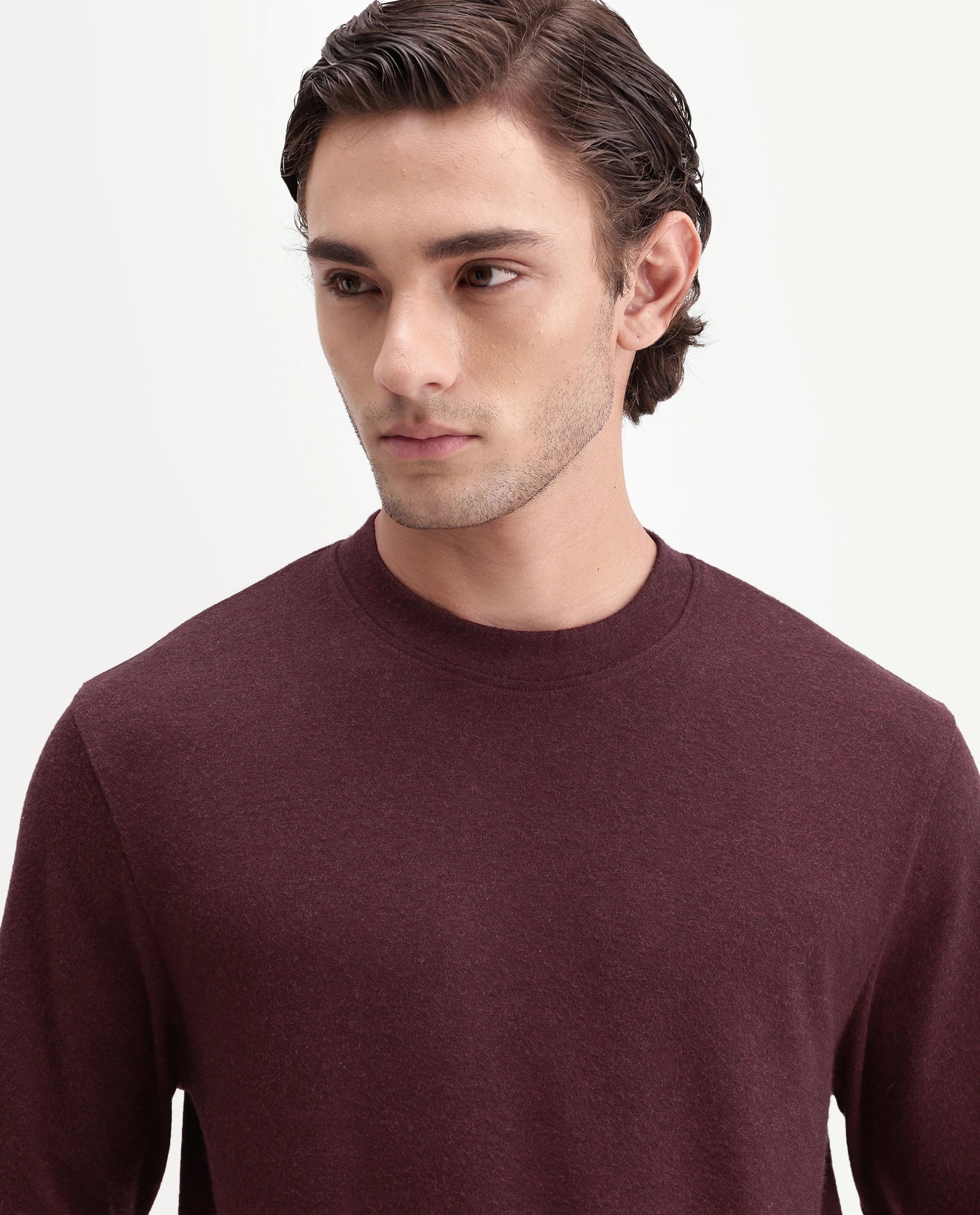 Rare Rabbit Men's Kiki Dark Red Polyester Blend Crew Neck Regular Plain T-Shirt