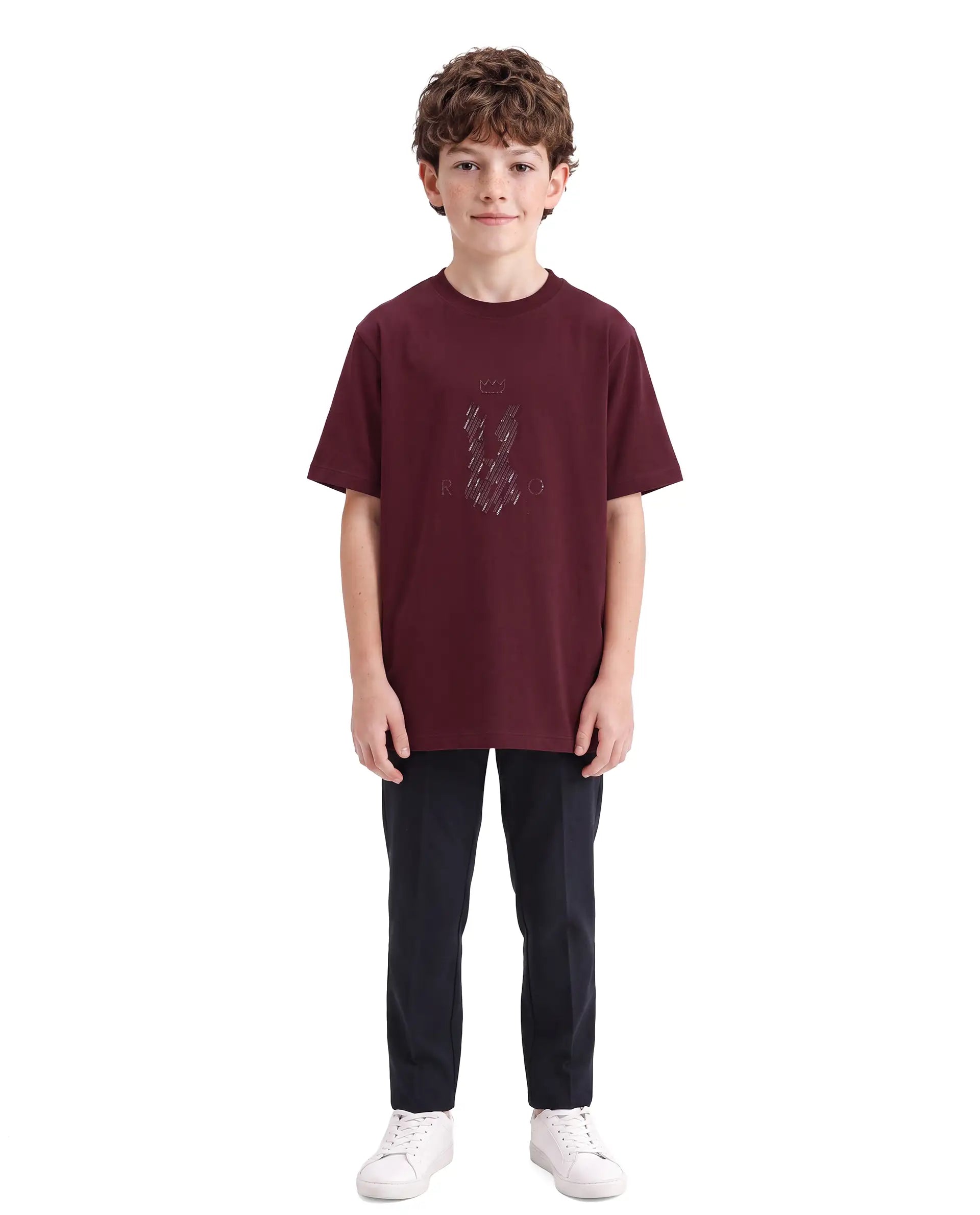 Rare Ones Kids Lupin Maroon Cotton Blend Fabric Pull-On Regular Fit Graphic Print T-Shirt
