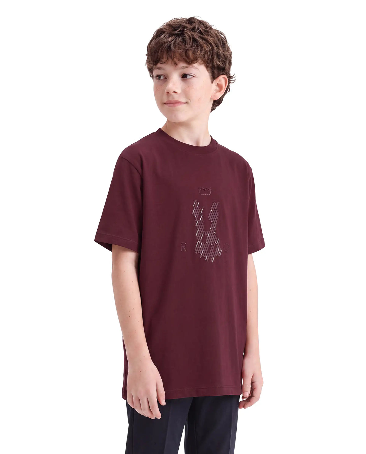 Rare Ones Kids Lupin Maroon Cotton Blend Fabric Pull-On Regular Fit Graphic Print T-Shirt