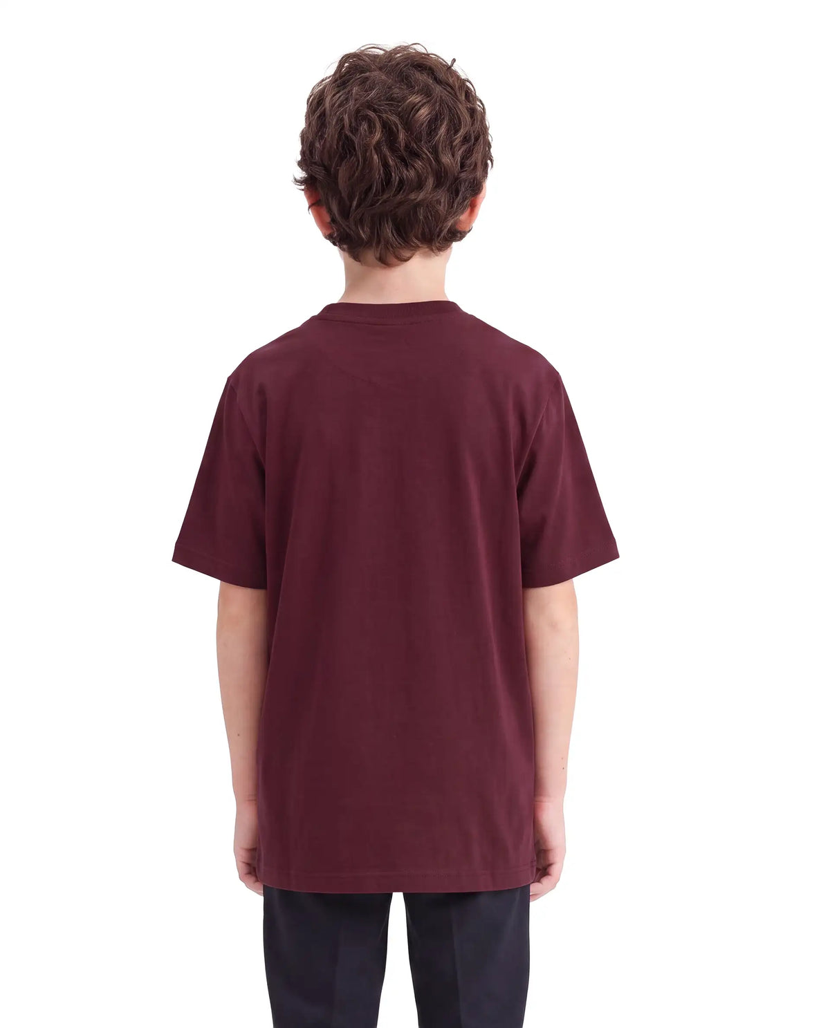 Rare Ones Kids Lupin Maroon Cotton Blend Fabric Pull-On Regular Fit Graphic Print T-Shirt