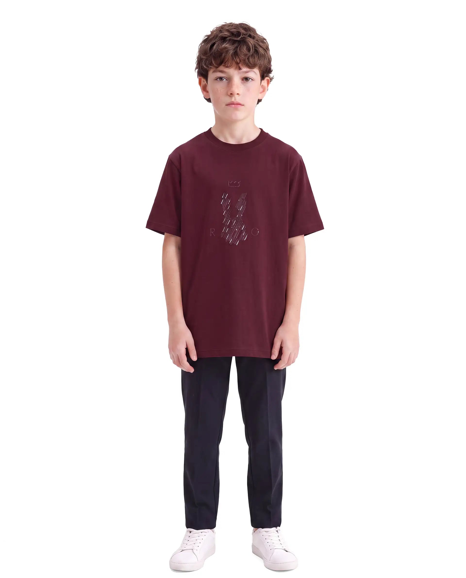 Rare Ones Kids Lupin Maroon Cotton Blend Fabric Pull-On Regular Fit Graphic Print T-Shirt