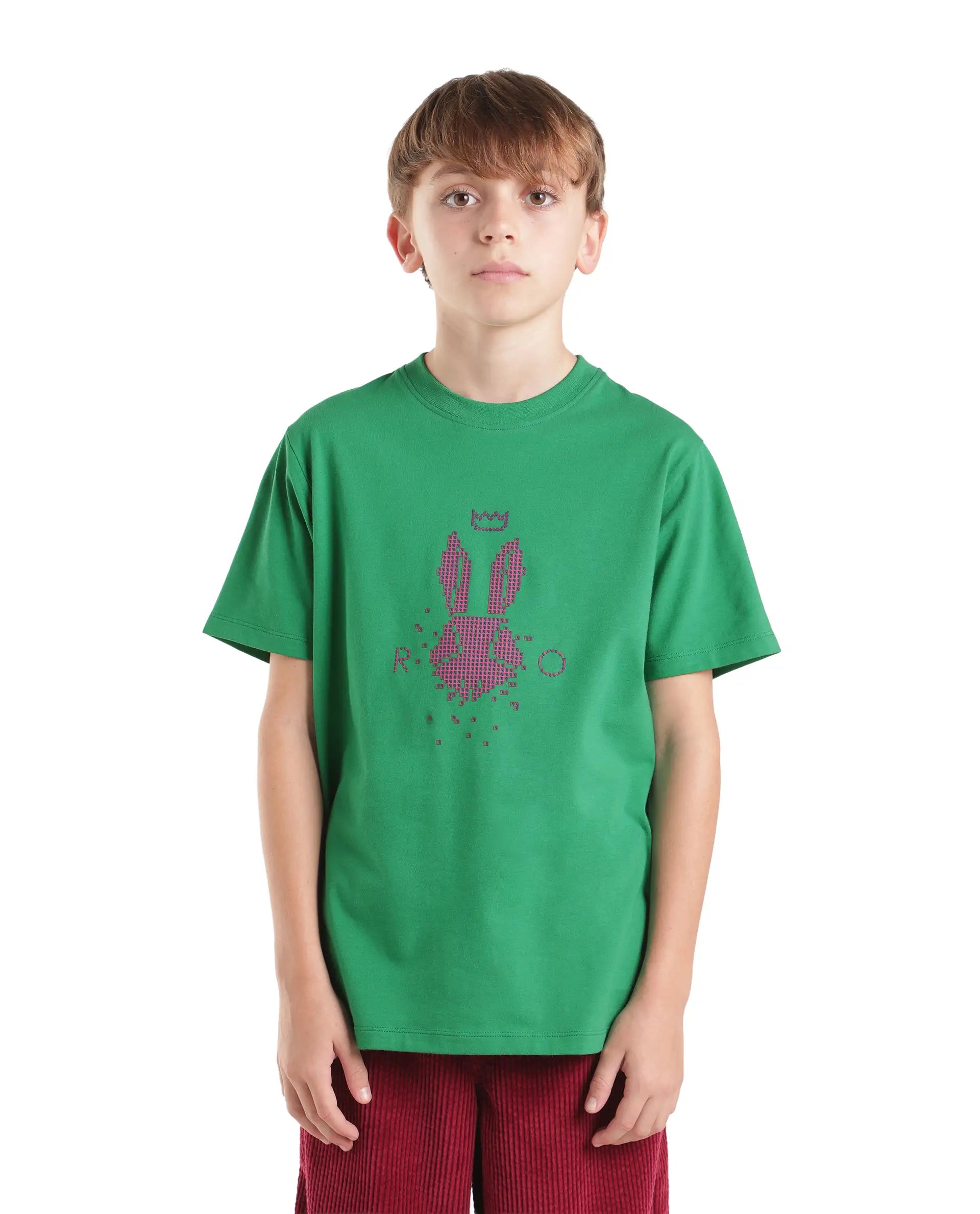 Rare Ones Kids Walko Green Cotton Blend Fabric Pull-On Regular Fit Graphic Print T-Shirt