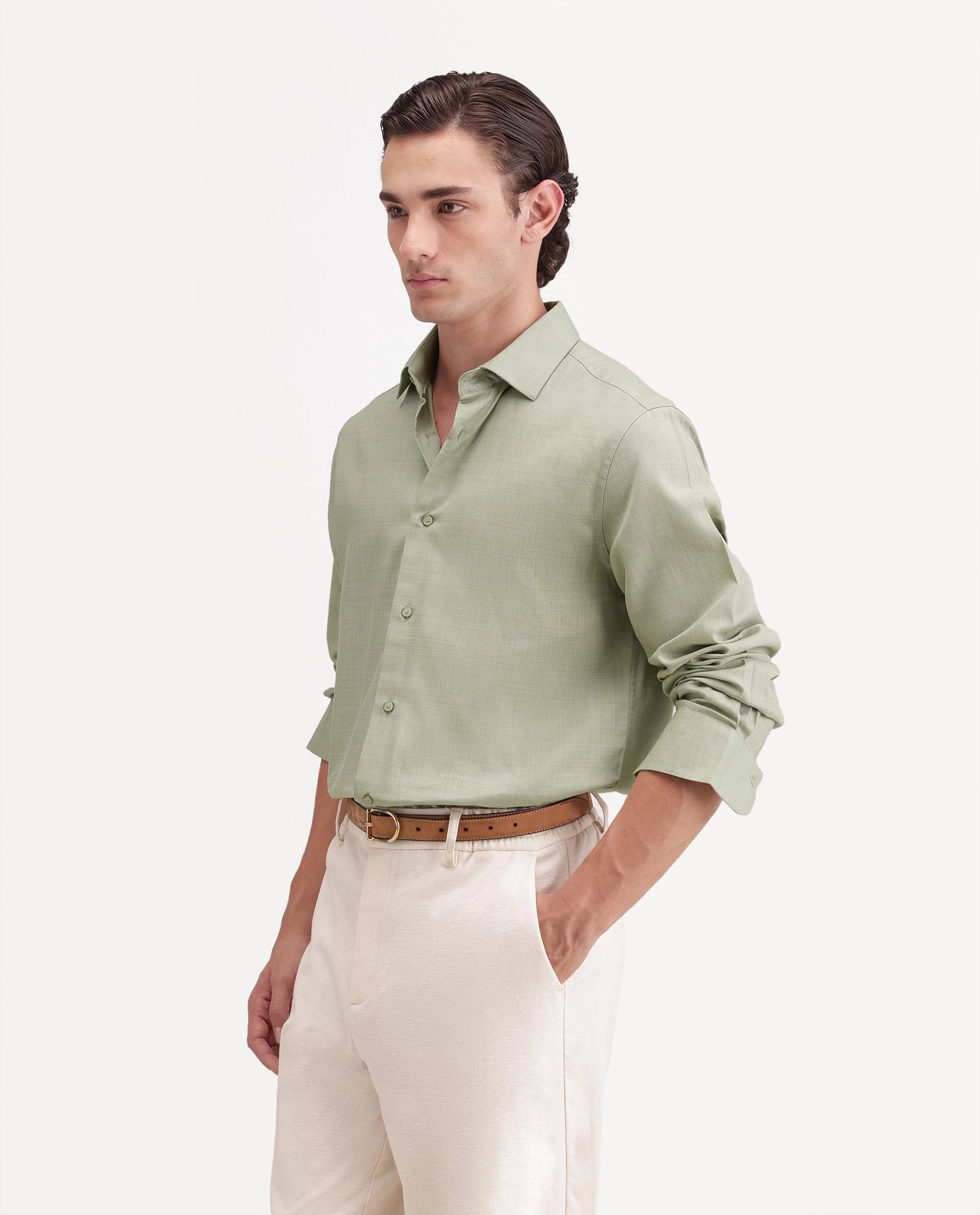 Rare Rabbit Men's Gama Dusky Green Cotton Blend Button Regular Fit Plain Shirt