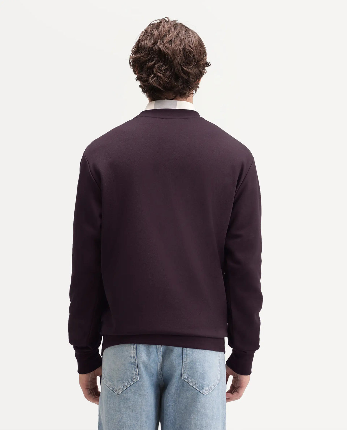 Rare Rabbit Men's Gian Dark Maroon Cotton Blend Crew Neck Regular Embroidered Sweatshirt