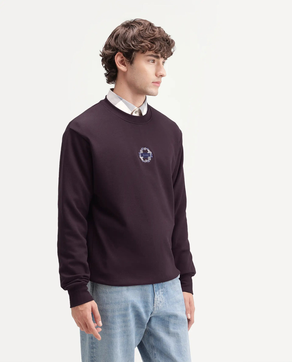 Rare Rabbit Men's Gian Dark Maroon Cotton Blend Crew Neck Regular Embroidered Sweatshirt