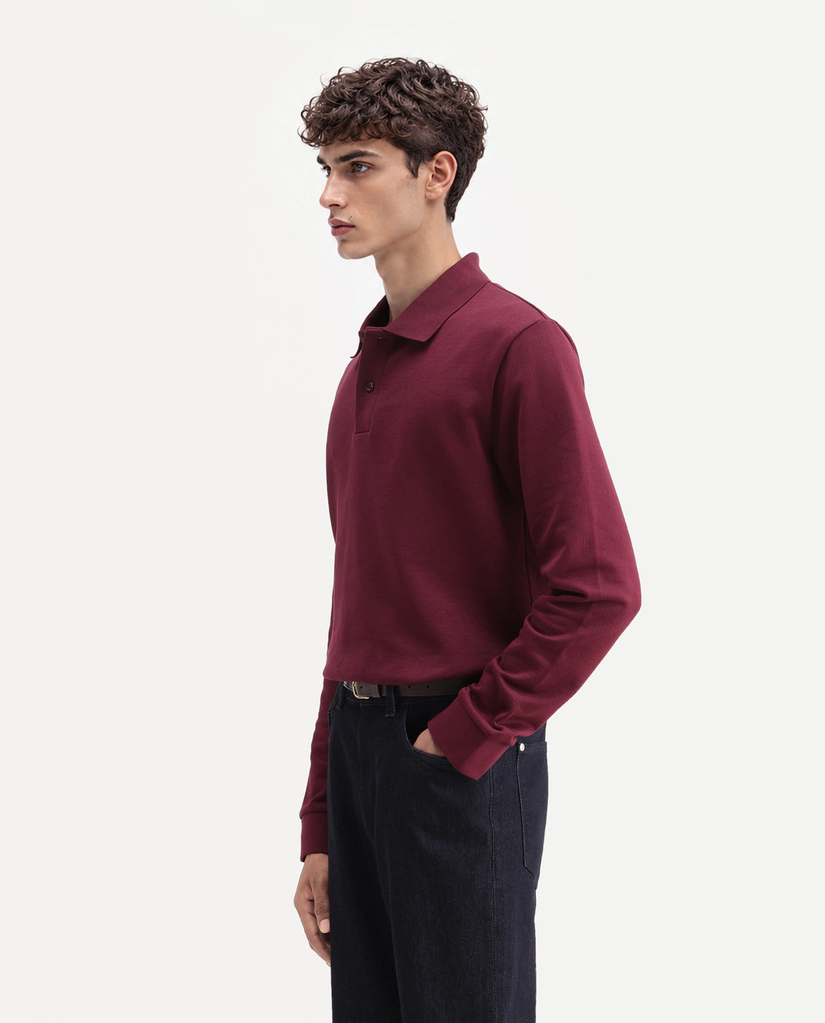 Rare Rabbit Men's Niue Dark Maroon Cotton Blend Spread Collar Regular Plain Polo