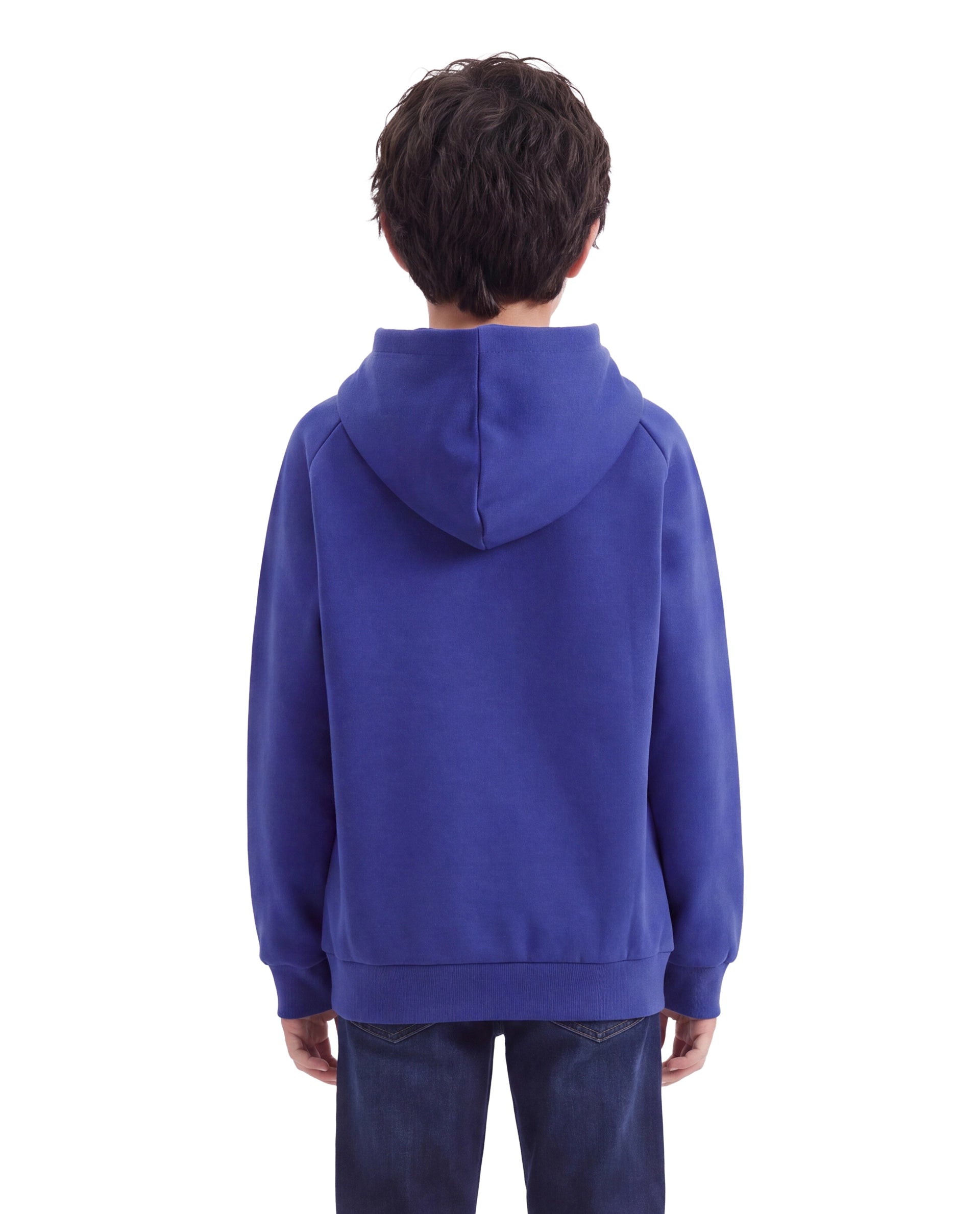 Rare Ones Kids Reo Purple Cotton Blend Fabric Hooded Pull-On Closure Regular Fit Typography Print Sweatshirt
