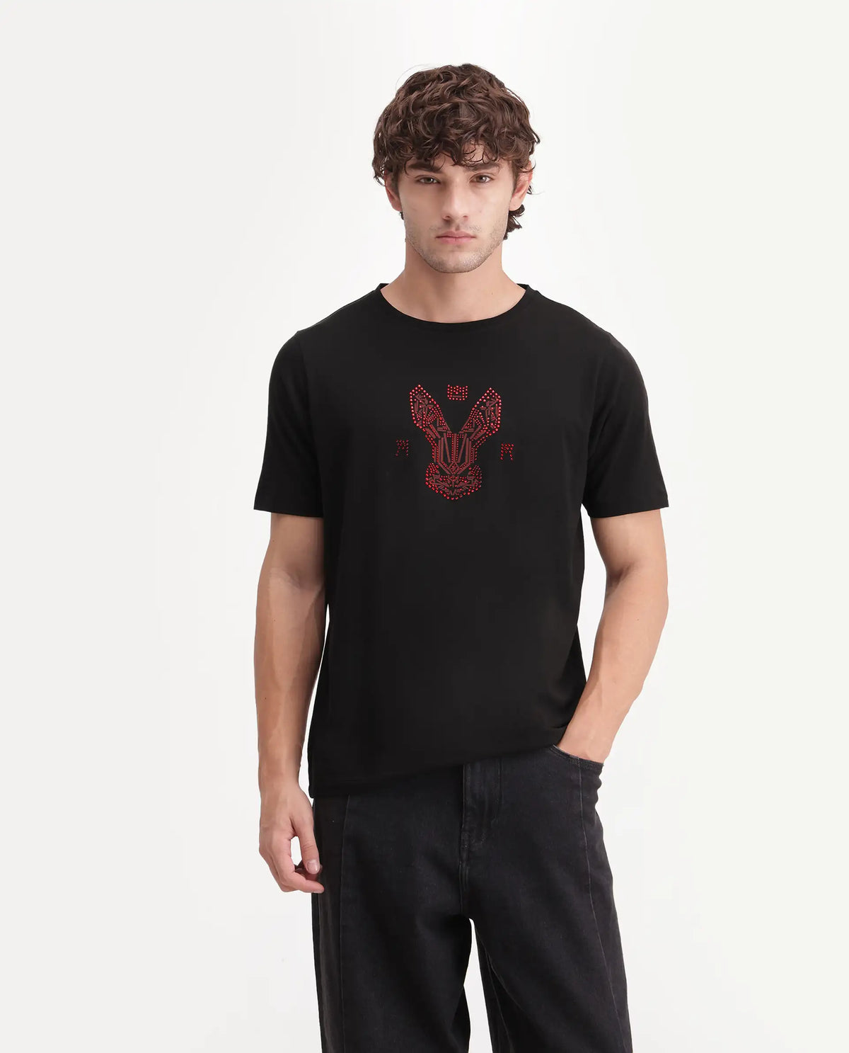 Rare Rabbit Men's Aeth Black Cotton Blend Crew Neck Regular Graphic Print T-Shirt