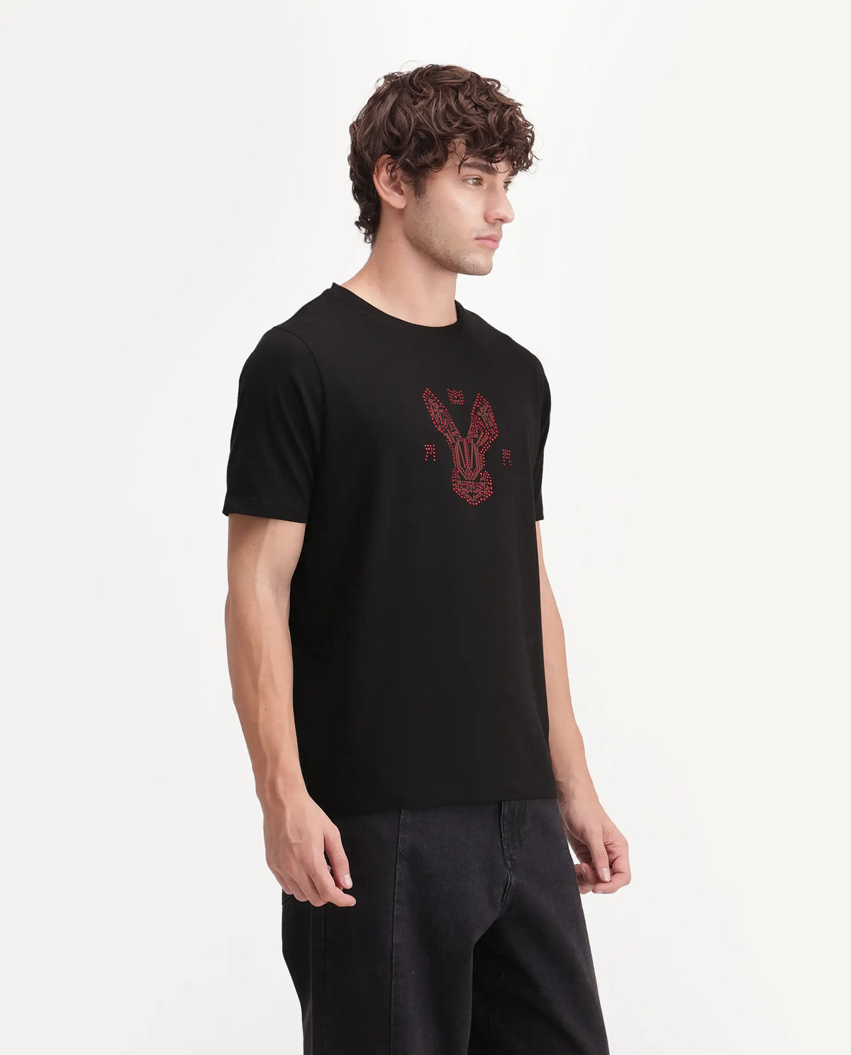 Rare Rabbit Men's Aeth Black Cotton Blend Crew Neck Regular Graphic Print T-Shirt