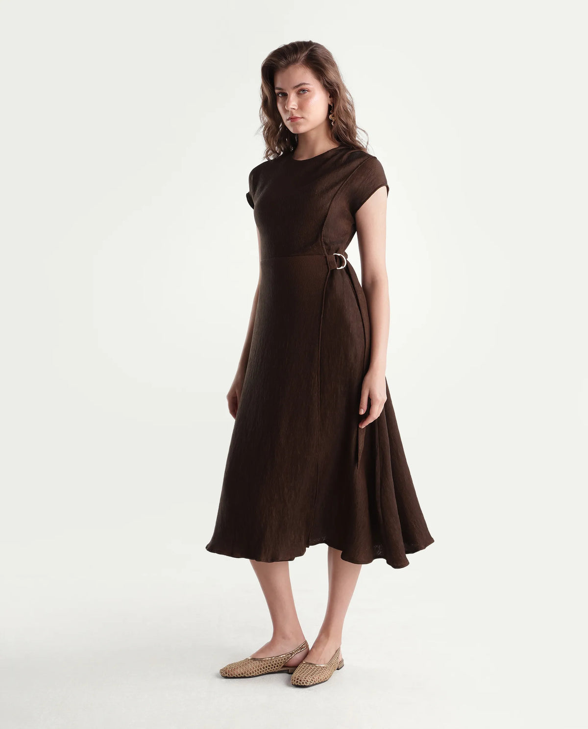 Rareism Women's Xara Dark Brown Viscose Blend Crew Neck Fit And Flare Plain Dress