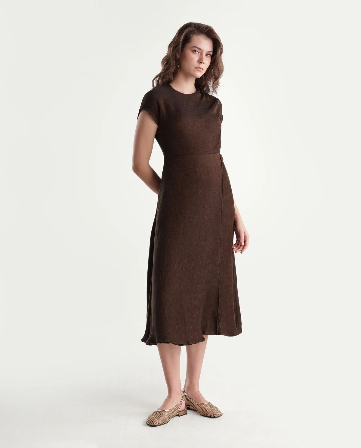 Rareism Women's Xara Dark Brown Viscose Blend Crew Neck Fit And Flare Plain Dress