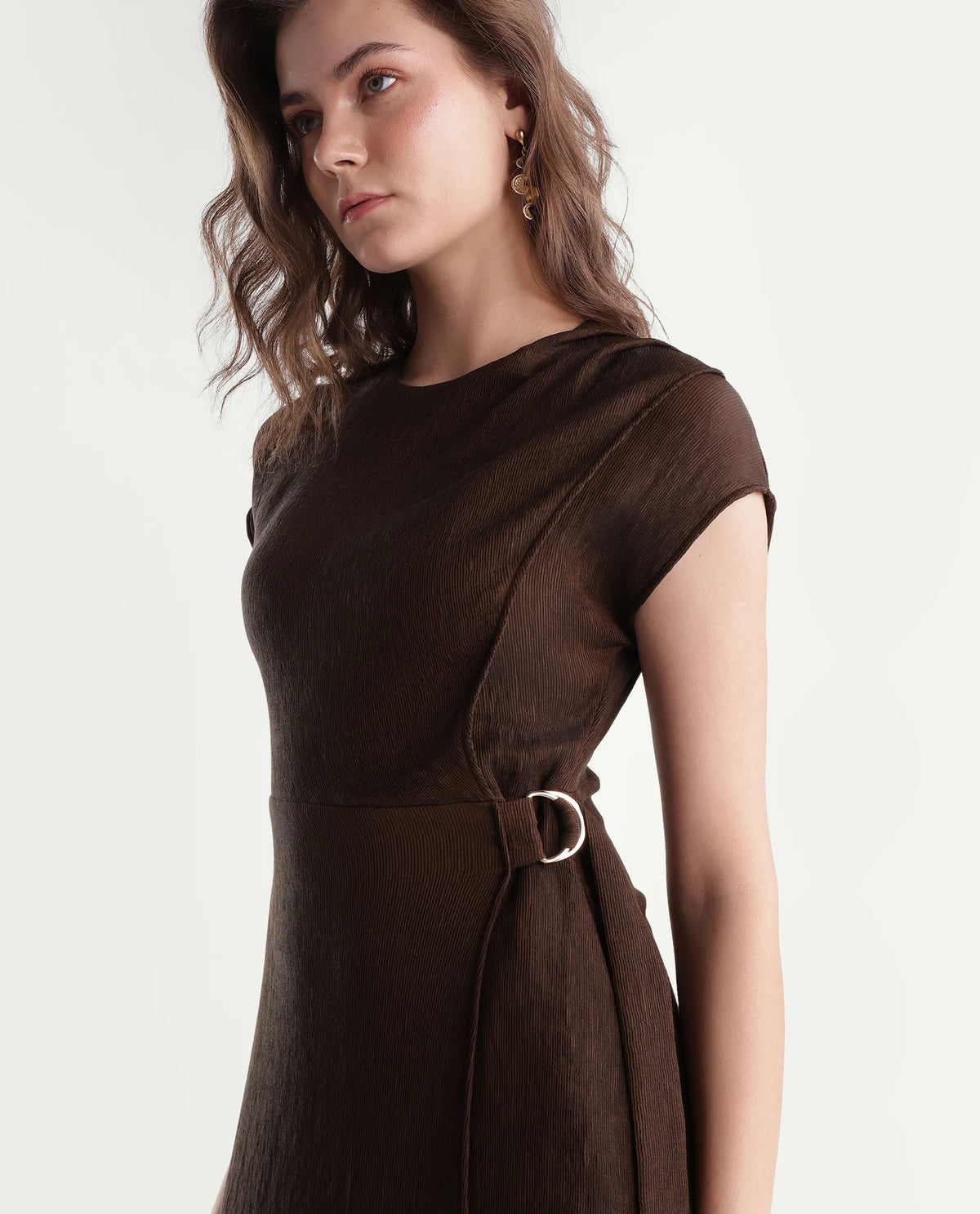 Rareism Women's Xara Dark Brown Viscose Blend Crew Neck Fit And Flare Plain Dress