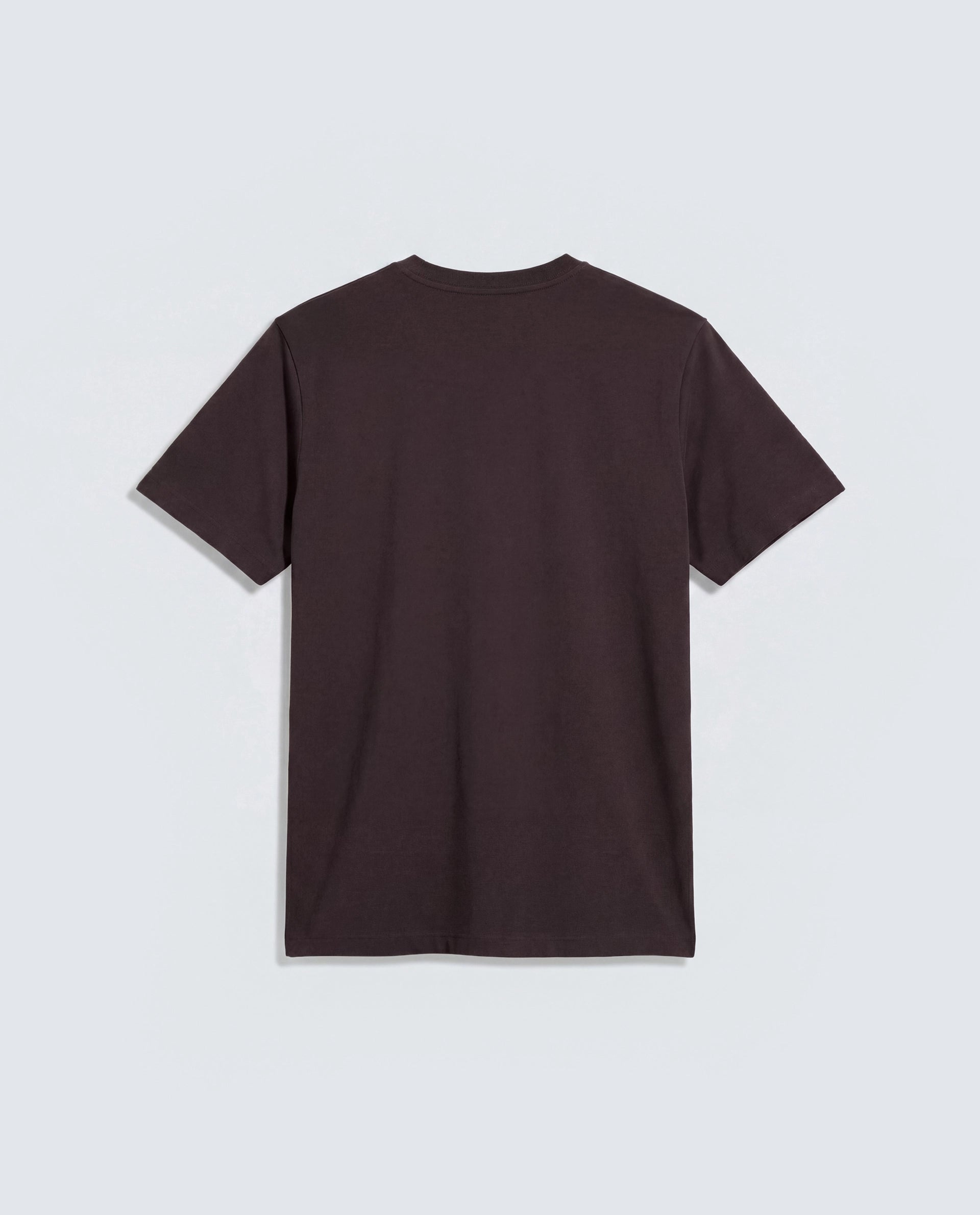 Rare Rabbit Men's Basic Rr-Corp-Arve Dark Brown Cotton Crew Neck Regular Plain T-Shirt
