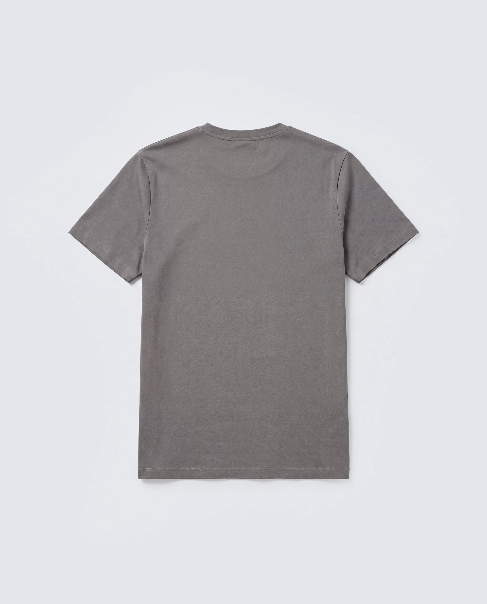 Rare Rabbit Men's Basic Rr-Corp-Arve Grey Cotton Crew Neck Regular Plain T-Shirt