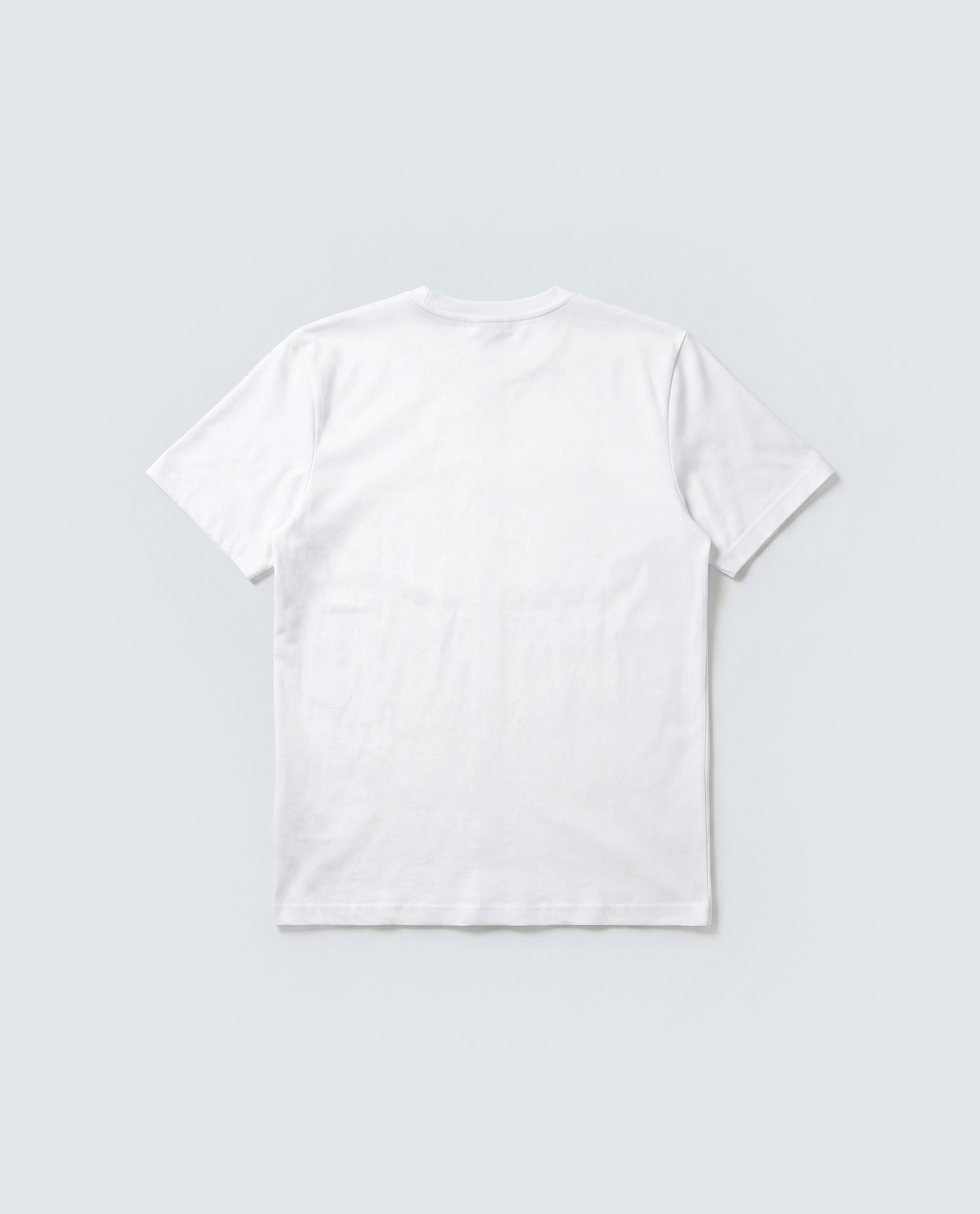 Rare Rabbit Men's Basic Rr-Corp-Arve White Cotton Crew Neck Regular Plain T-Shirt