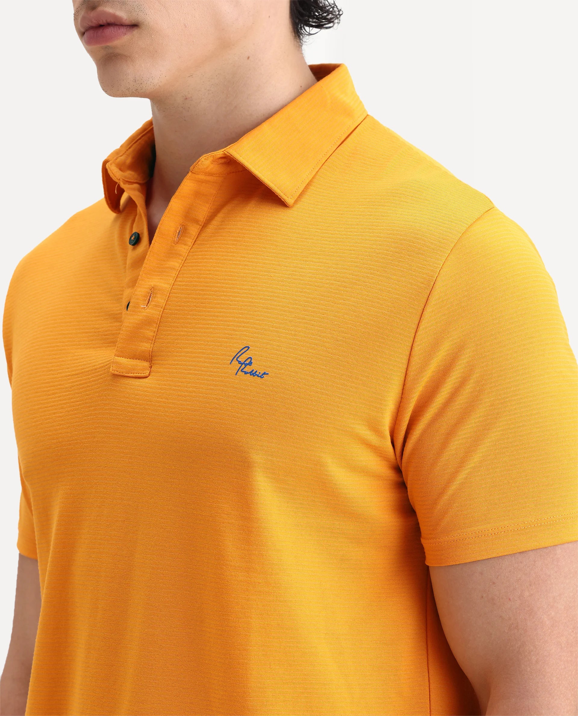 Rare Rabbit Men's Sailor Yellow Polyester Striped Print Regular Fit Half Sleeve Polo