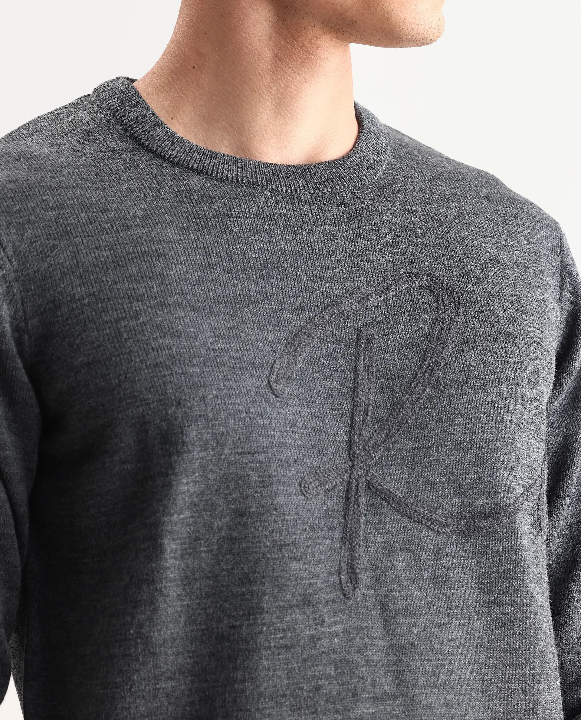 Rare Rabbit Men's Saturno Dusky Grey Acrylic Embroidered Regular Fit Full Sleeve Crew Neck Sweater