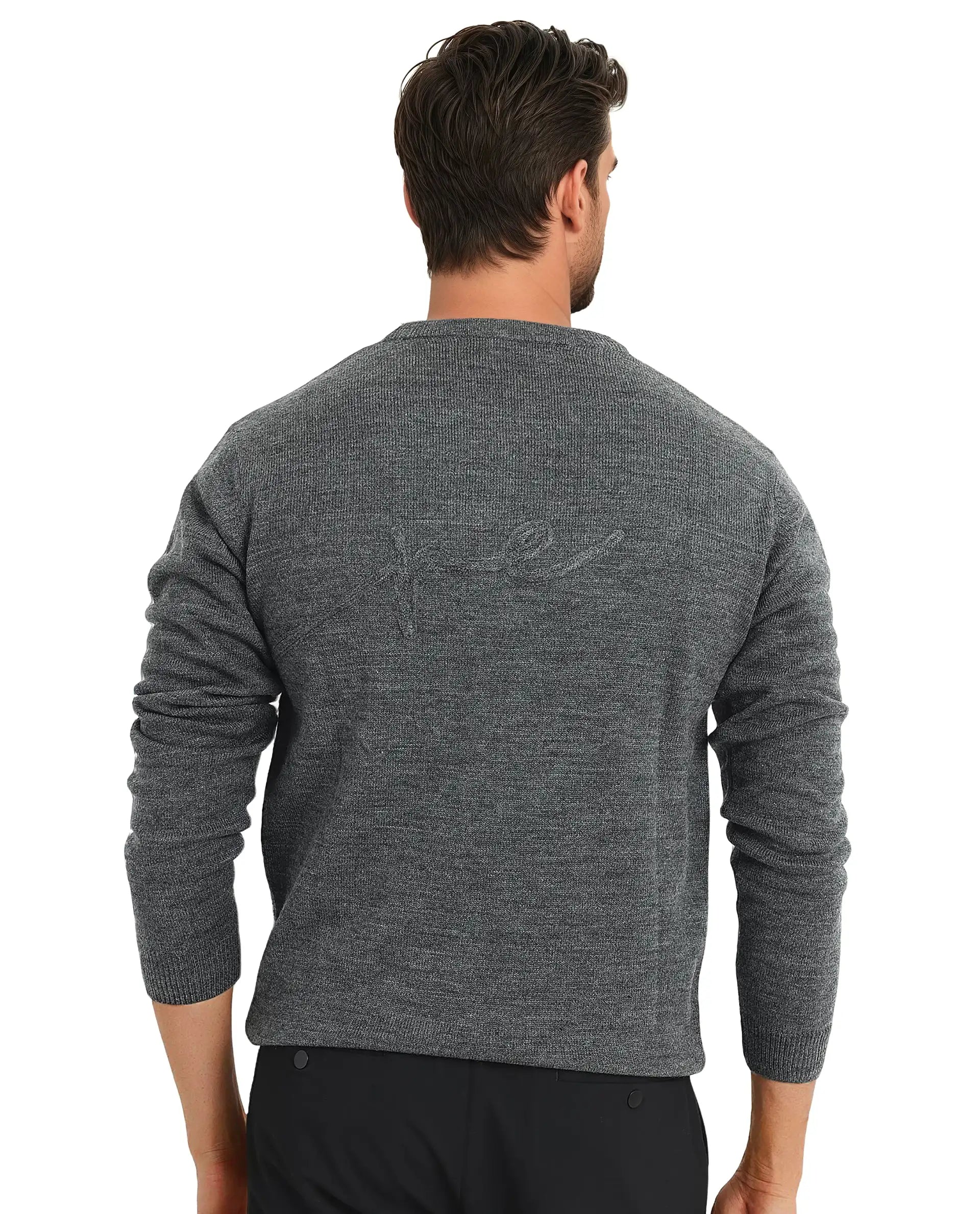 Rare Rabbit Men's Saturno Dusky Grey Acrylic Fabric Full Sleeve Crew Neck Embroidered Sweater