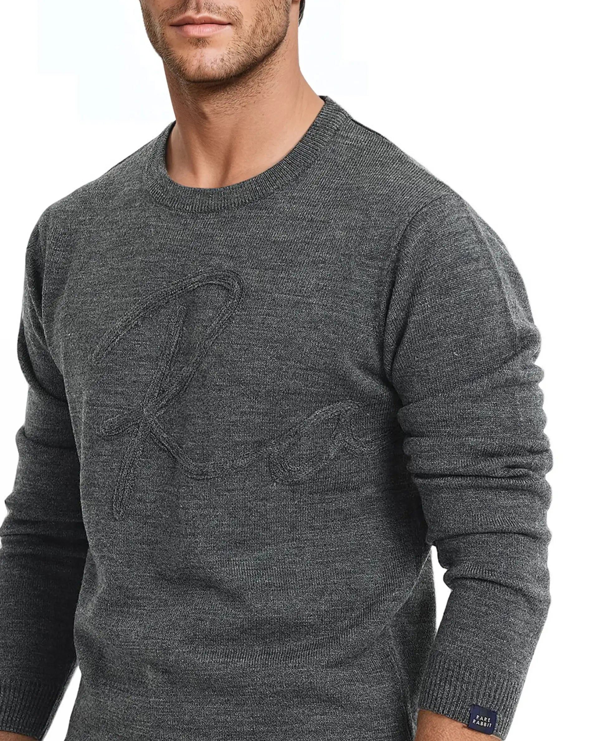 Rare Rabbit Men's Saturno Dusky Grey Acrylic Fabric Full Sleeve Crew Neck Embroidered Sweater