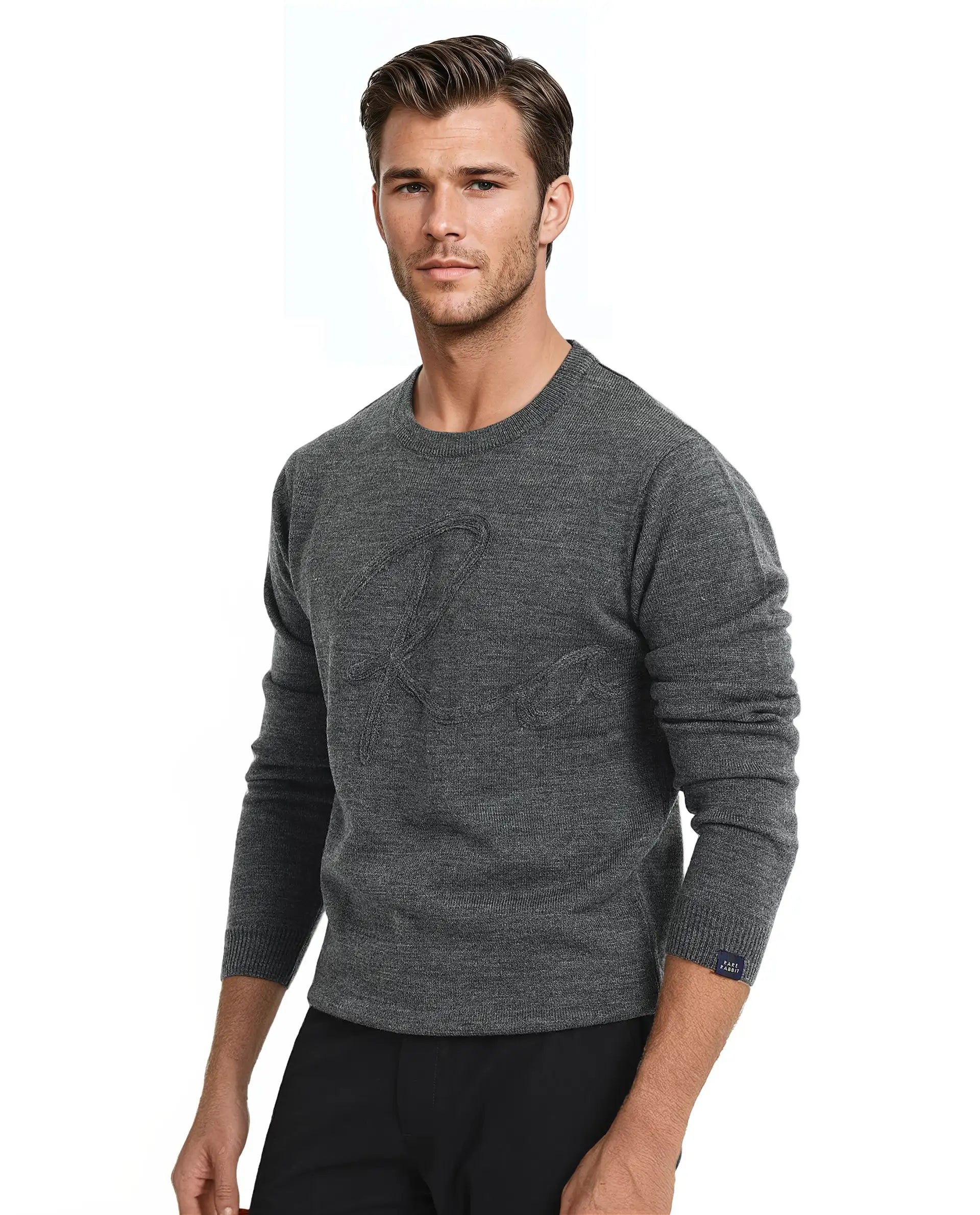 Rare Rabbit Men's Saturno Dusky Grey Acrylic Fabric Full Sleeve Crew Neck Embroidered Sweater