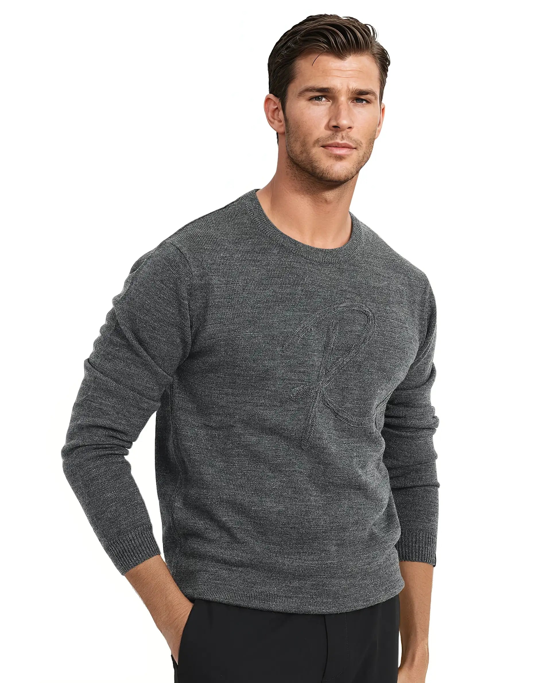 Rare Rabbit Men's Saturno Dusky Grey Acrylic Fabric Full Sleeve Crew Neck Embroidered Sweater