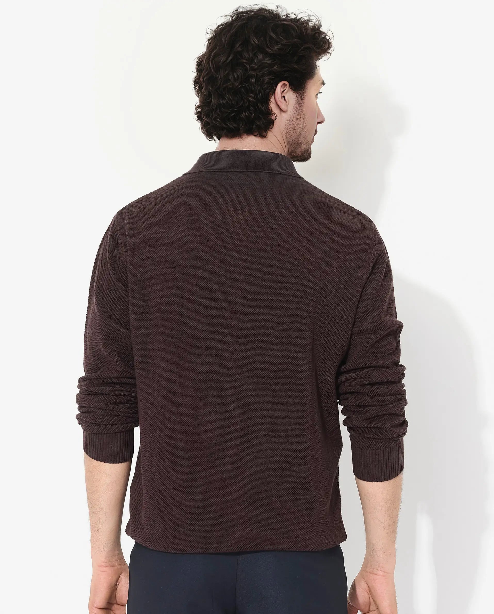 Rare Rabbit Men's Alias-N Brown Cotton Plain Regular Fit Full Sleeve Collared Shirt