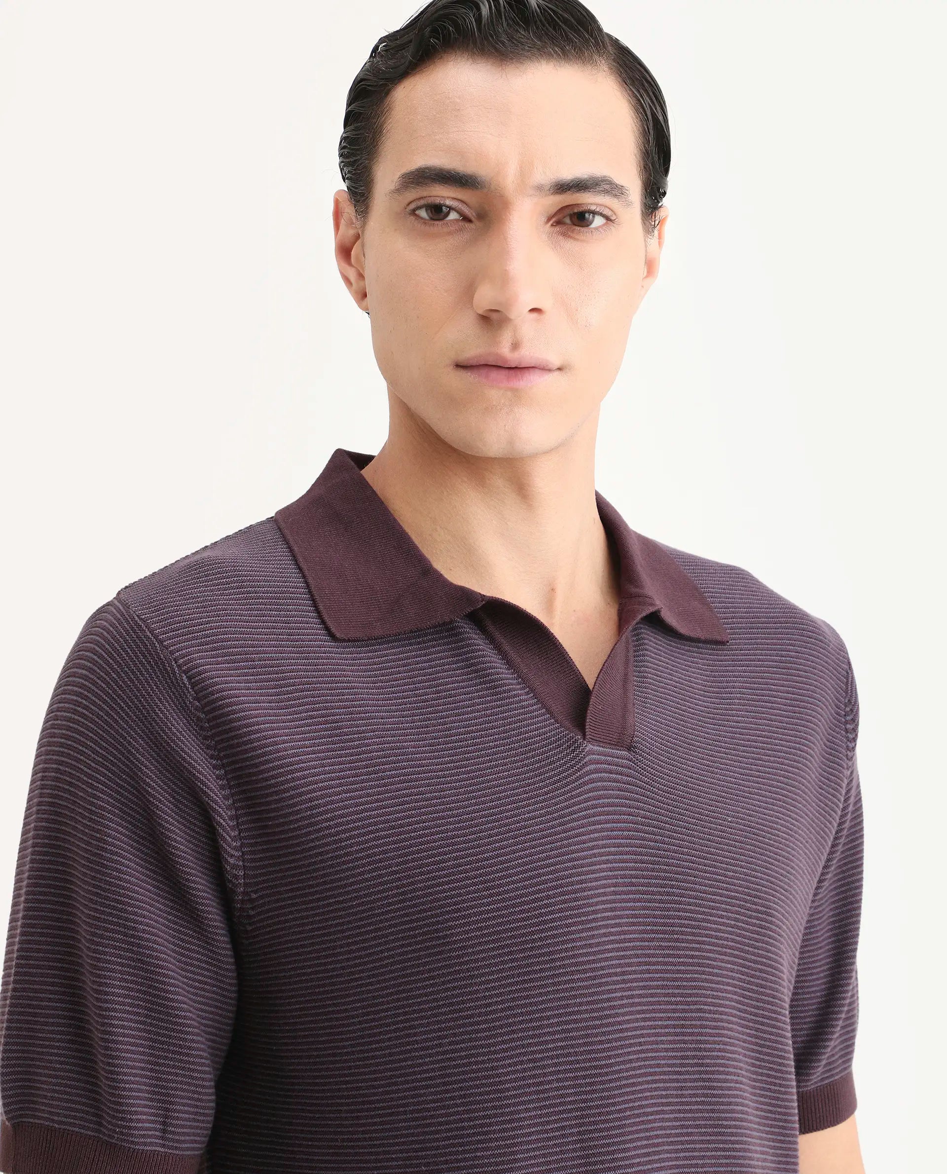 Rare Rabbit Men's Stir Dark Purple Cotton Fabric Half Sleeve Regular Fit Textured Polo