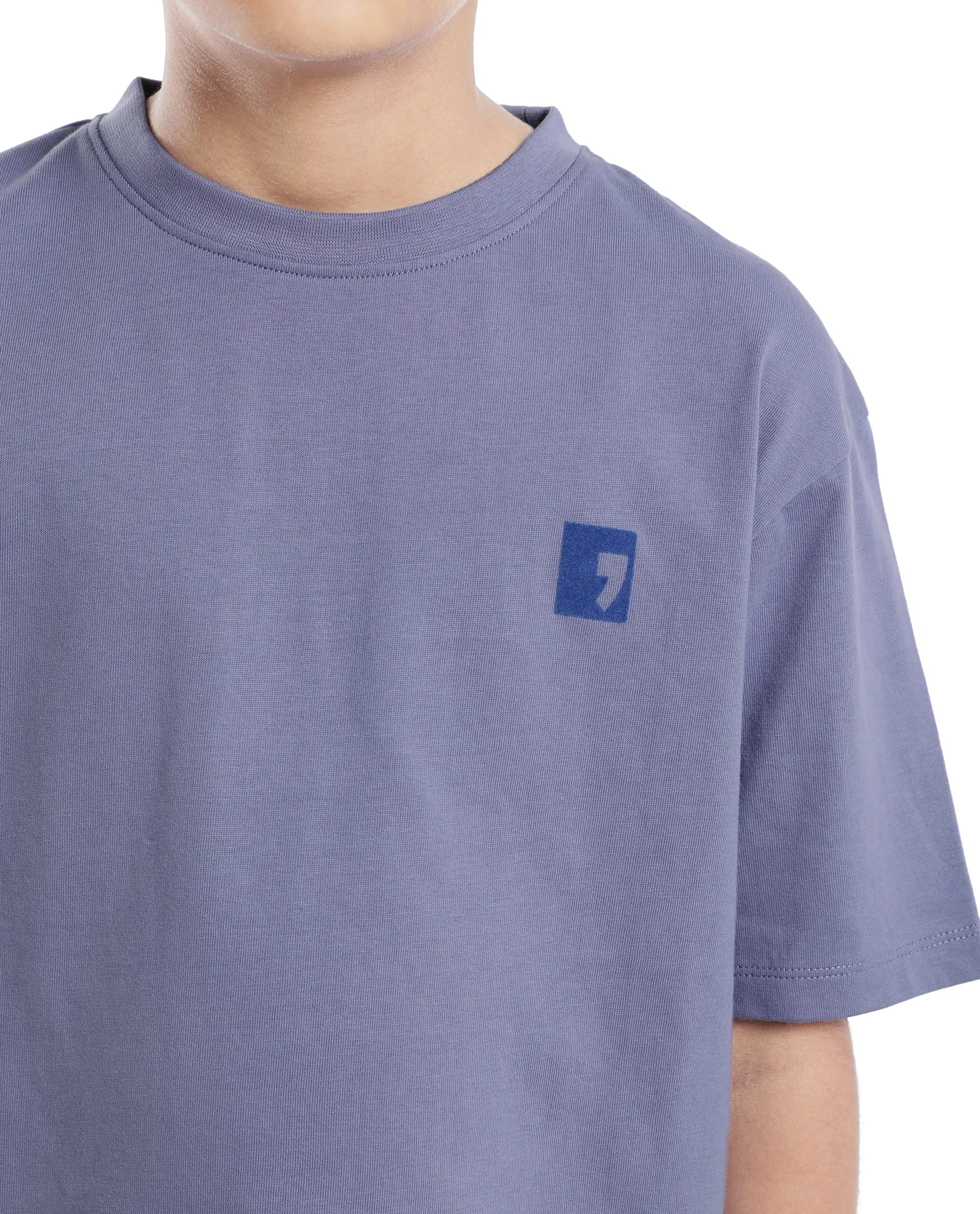 Rare Ones Kids Sudo Light Purple Cotton Graphic Printed Slip-On Oversized Fit T-Shirt