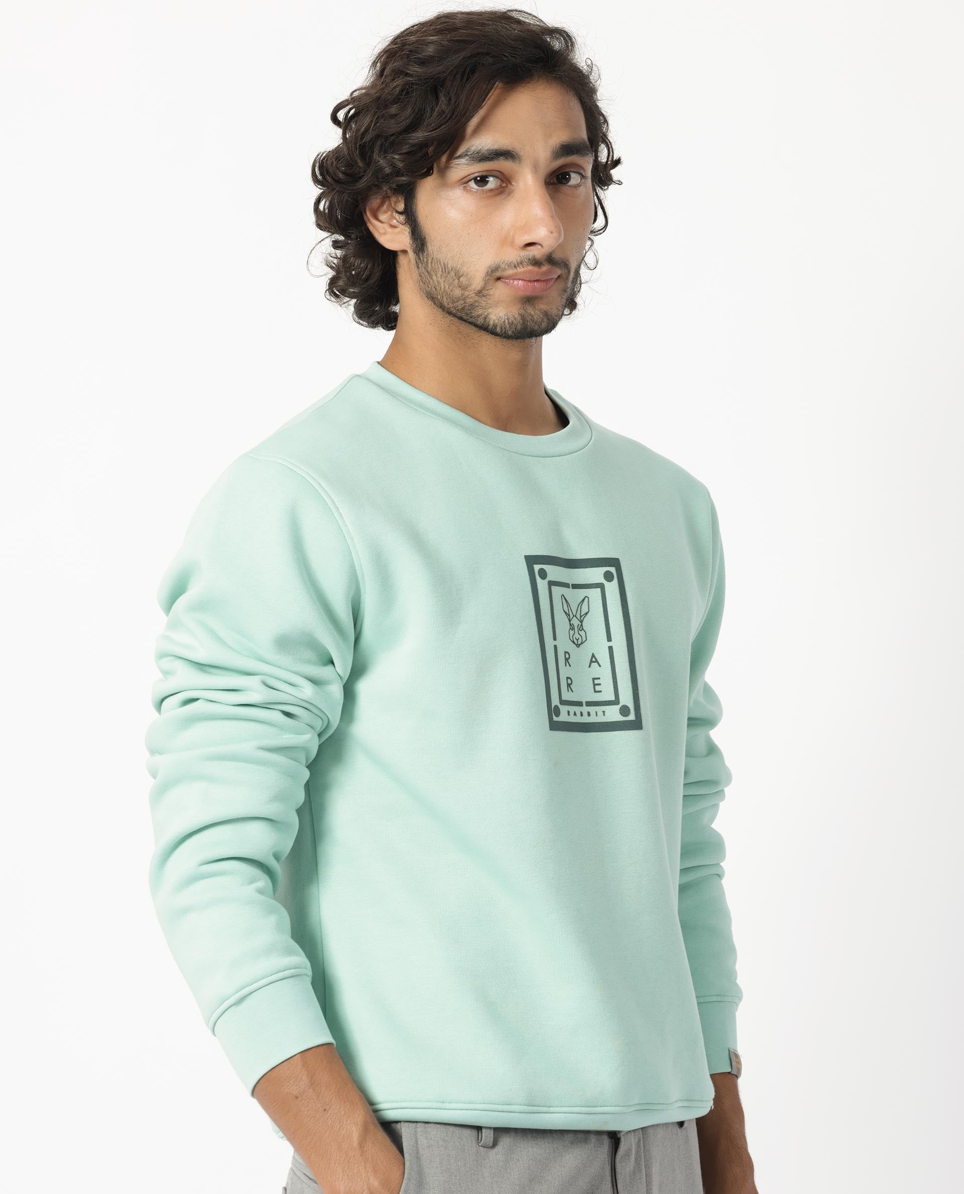 Rare Rabbit Men's Sweeney Light Green Cotton Graphic Print Regular Fit Full Sleeve Crew Neck Sweatshirt