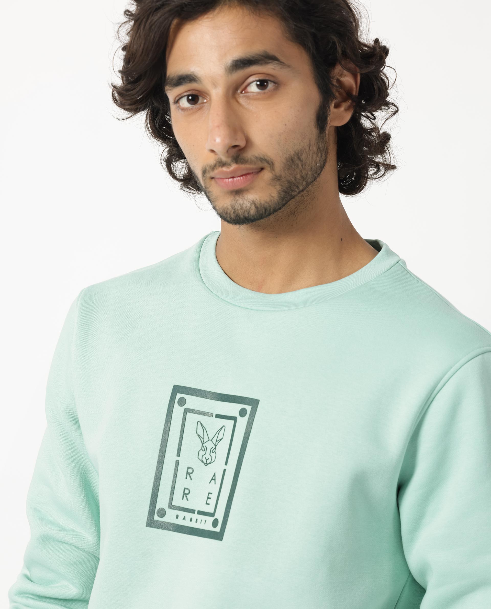 Light green crew hot sale neck sweatshirt